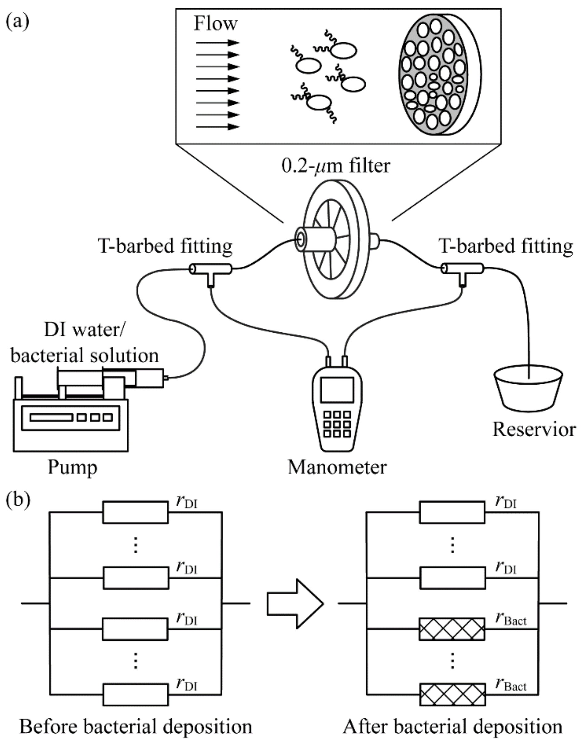 Micromachines Free FullText A Technique for Rapid Bacterial