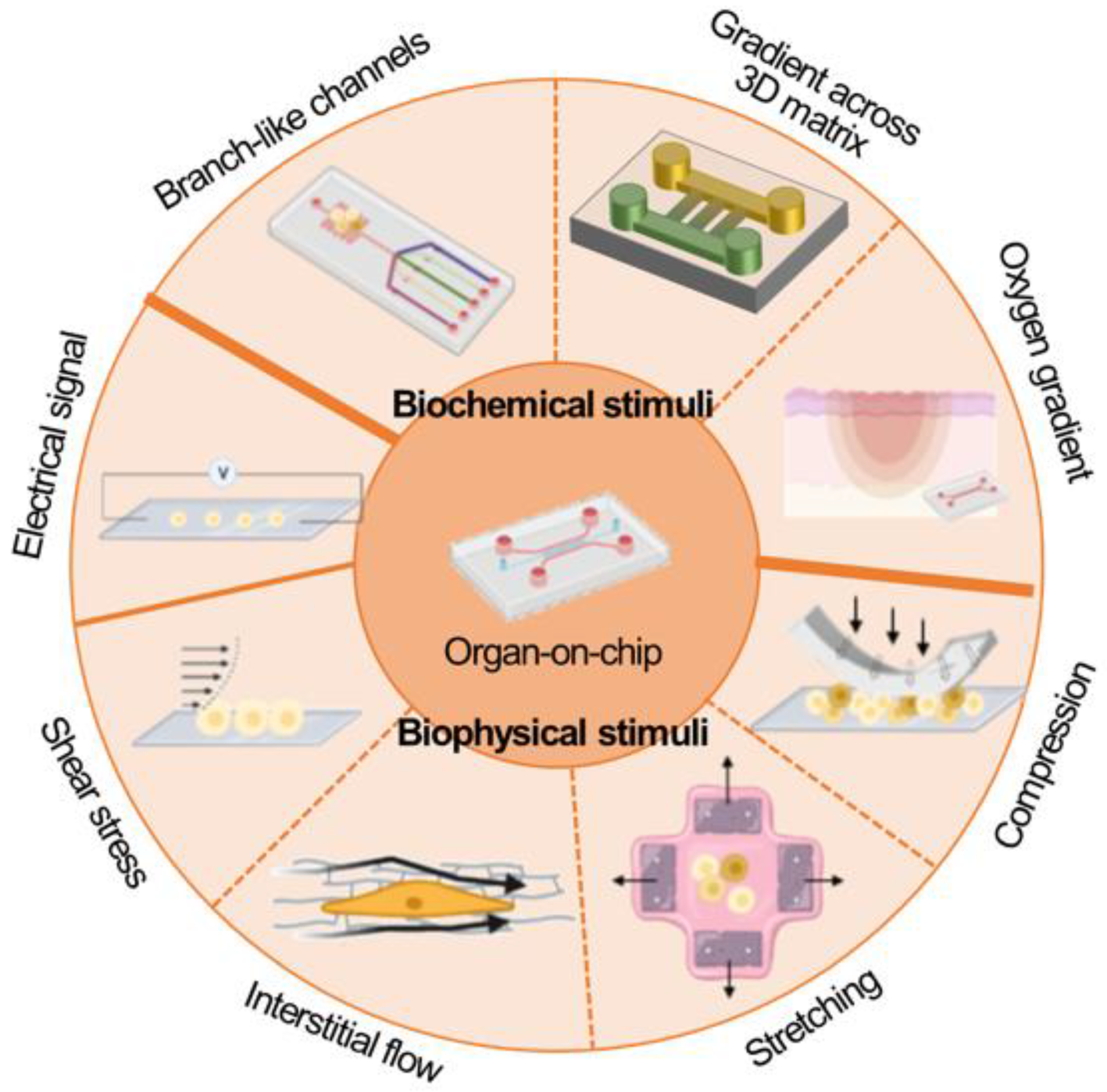 Micromachines 13 01200 g004 550