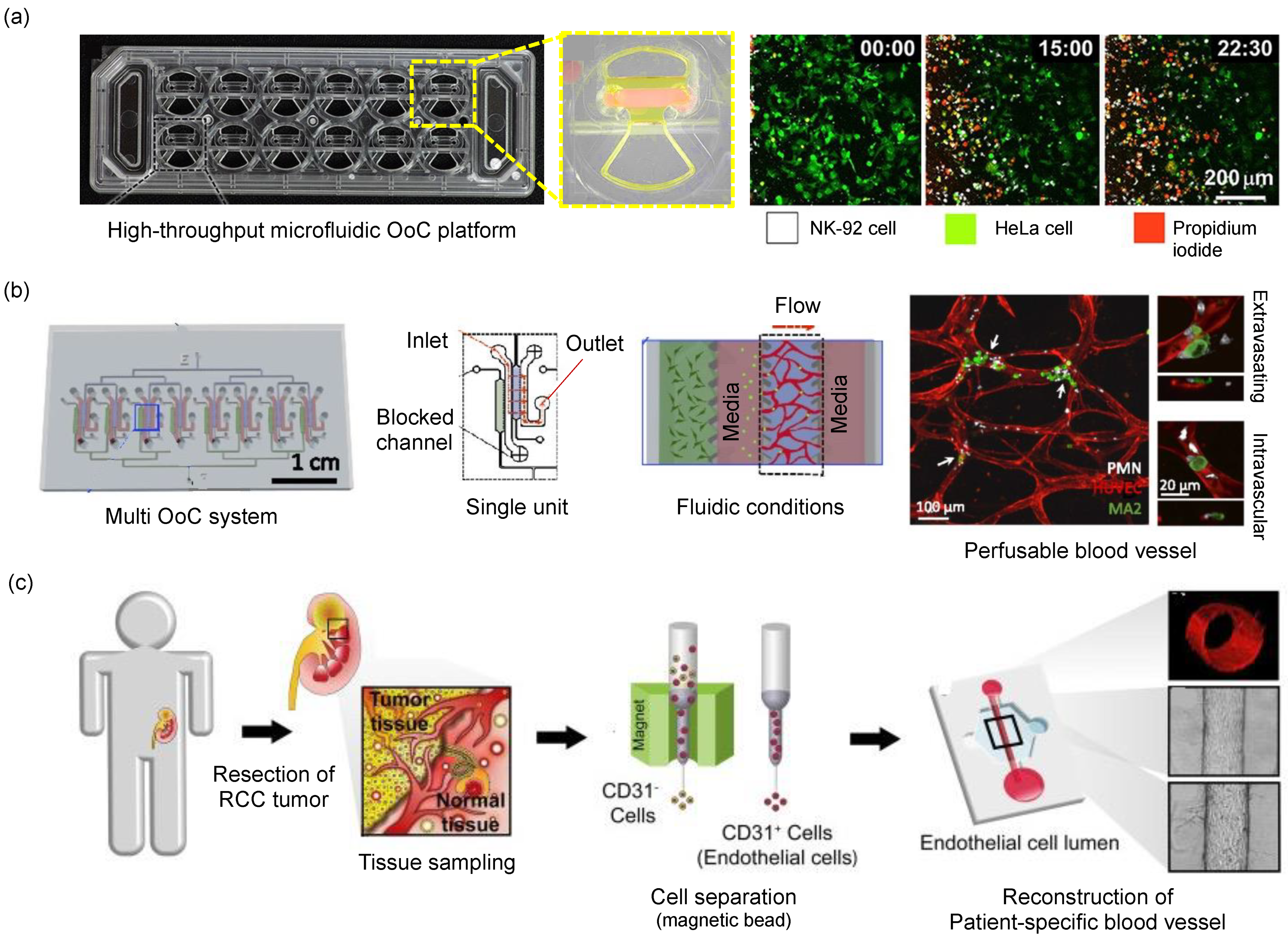 Micromachines 13 01200 g005 550