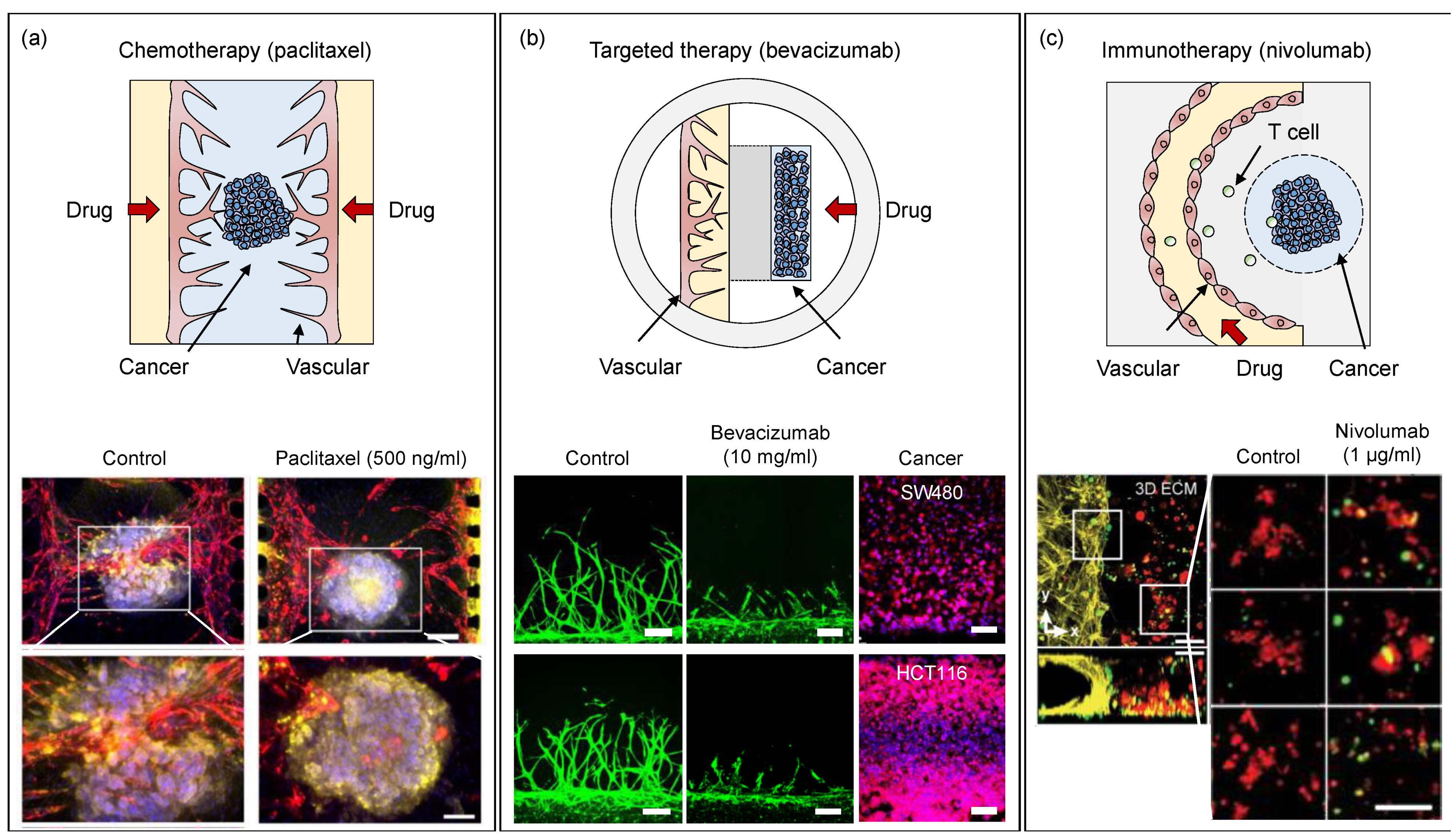 Micromachines 13 01200 g006 550