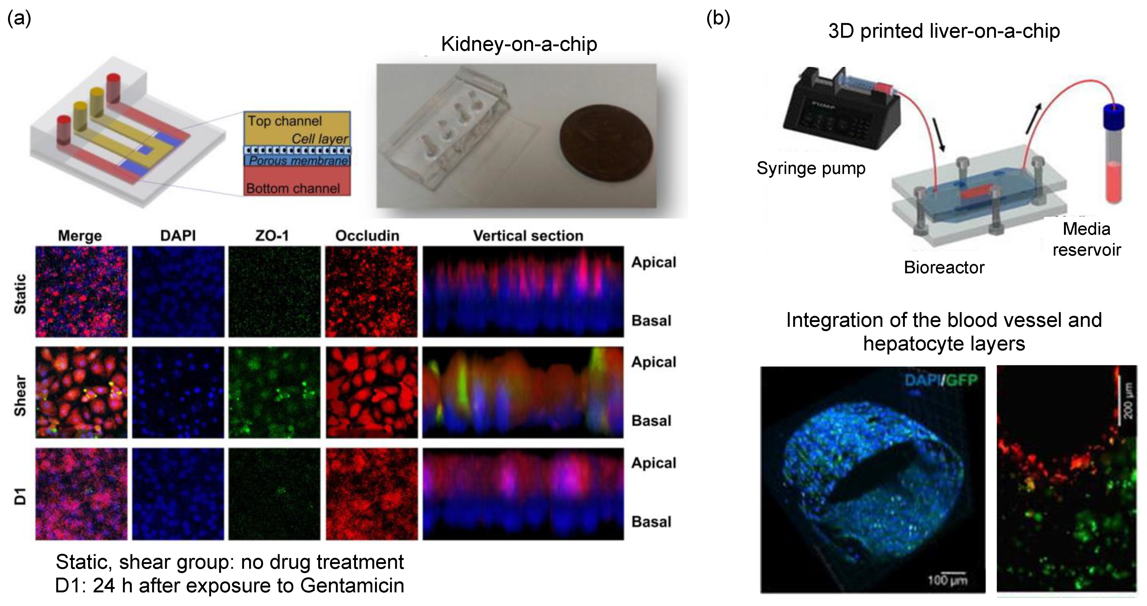 Micromachines 13 01200 g007 550