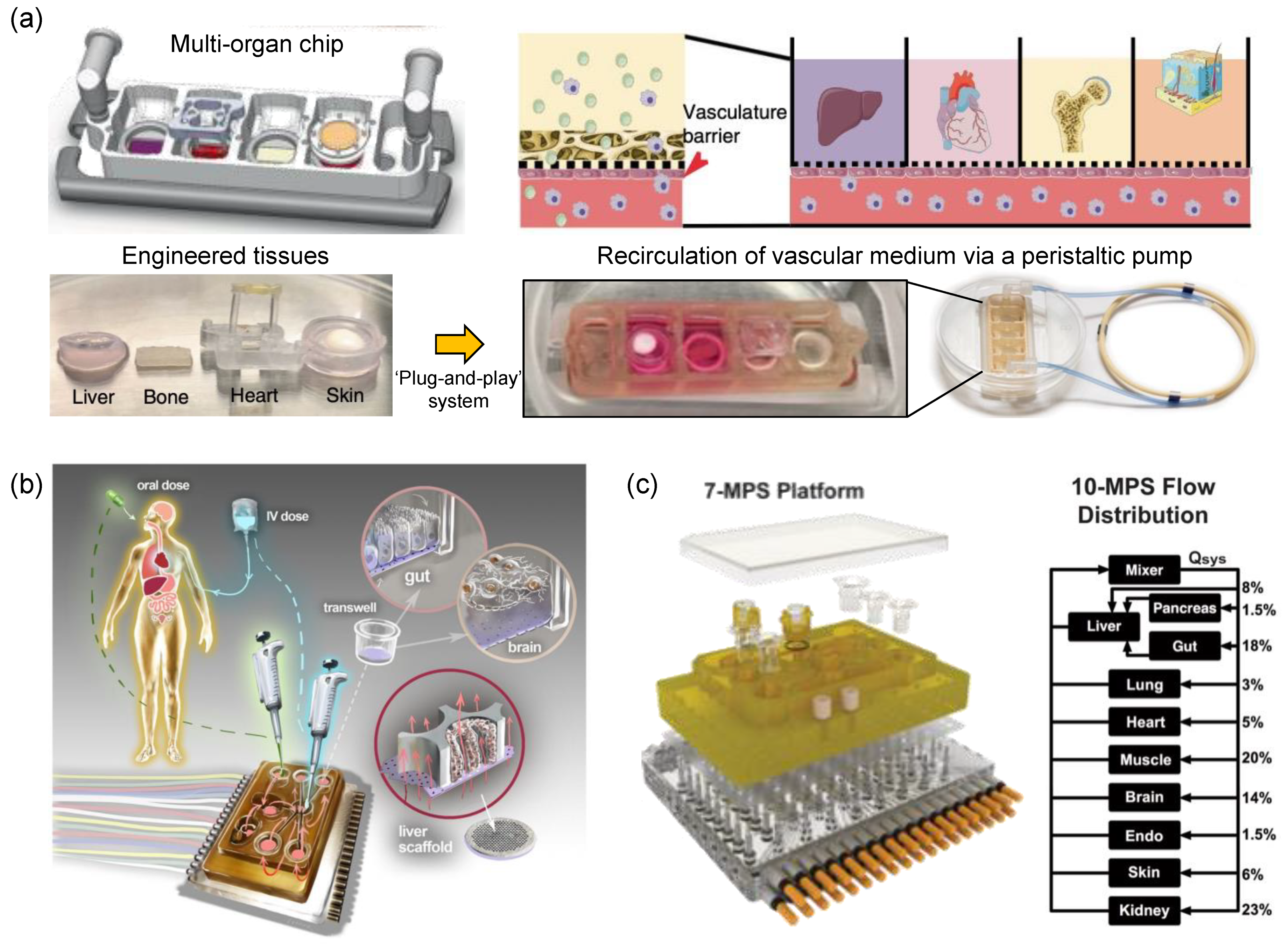 Micromachines 13 01200 g009 550