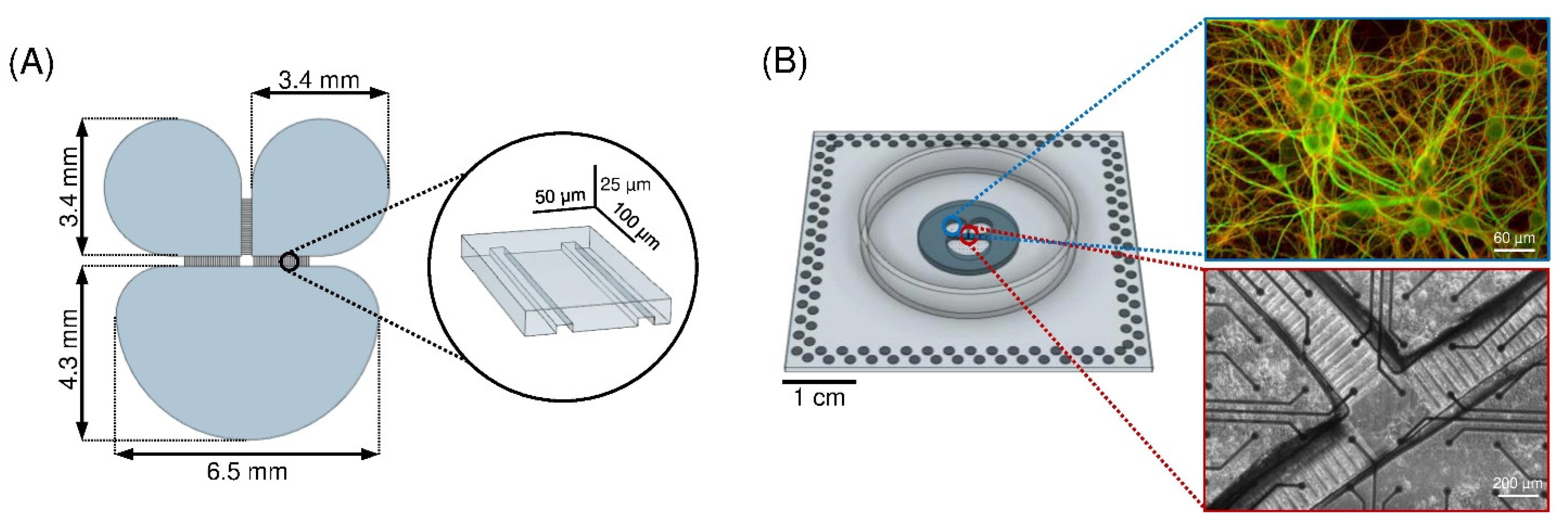 Micromachines 13 01212 g001 Micromachines 13 01212 g001