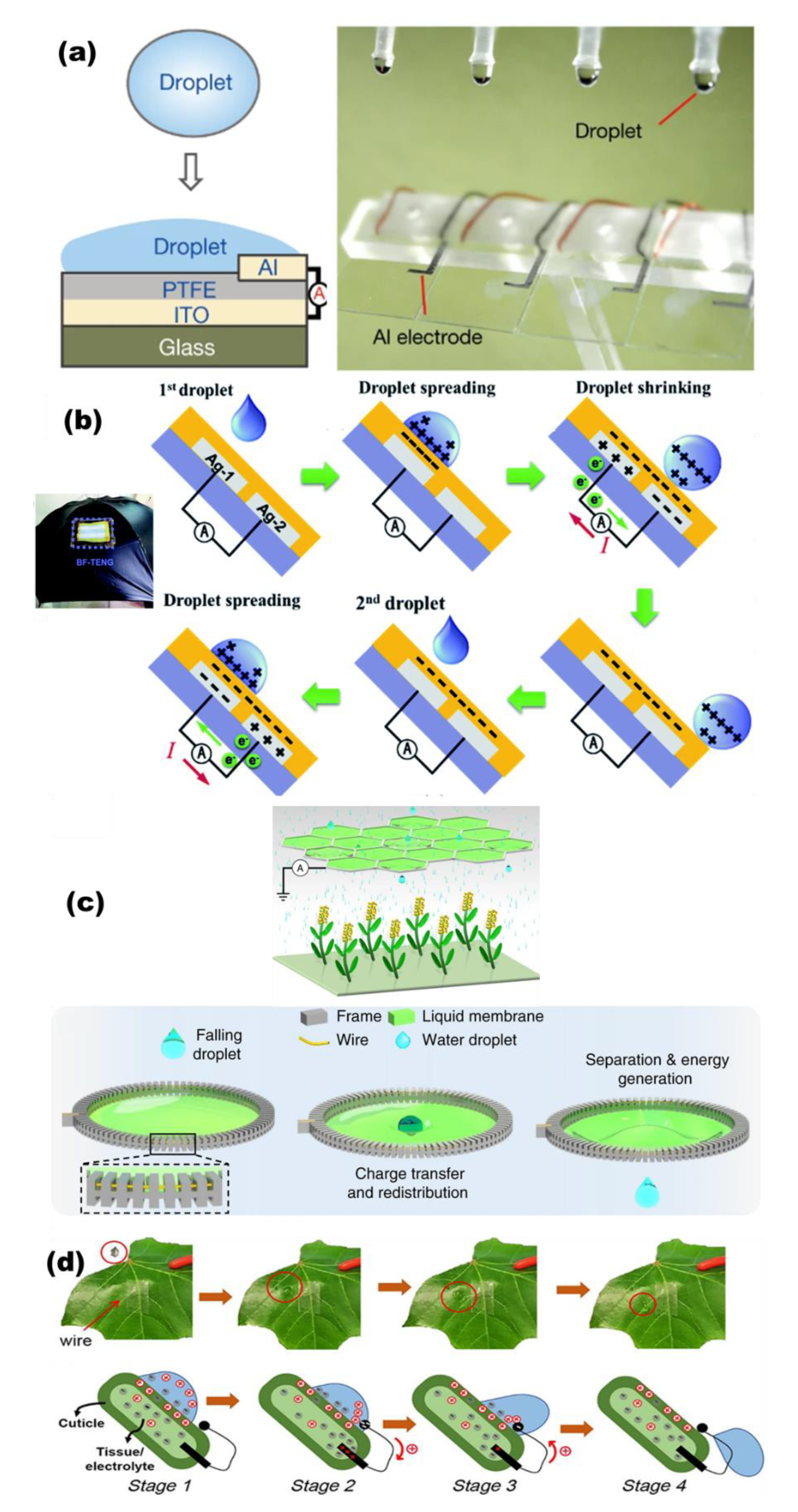 Micromachines 13 01219 g008 550