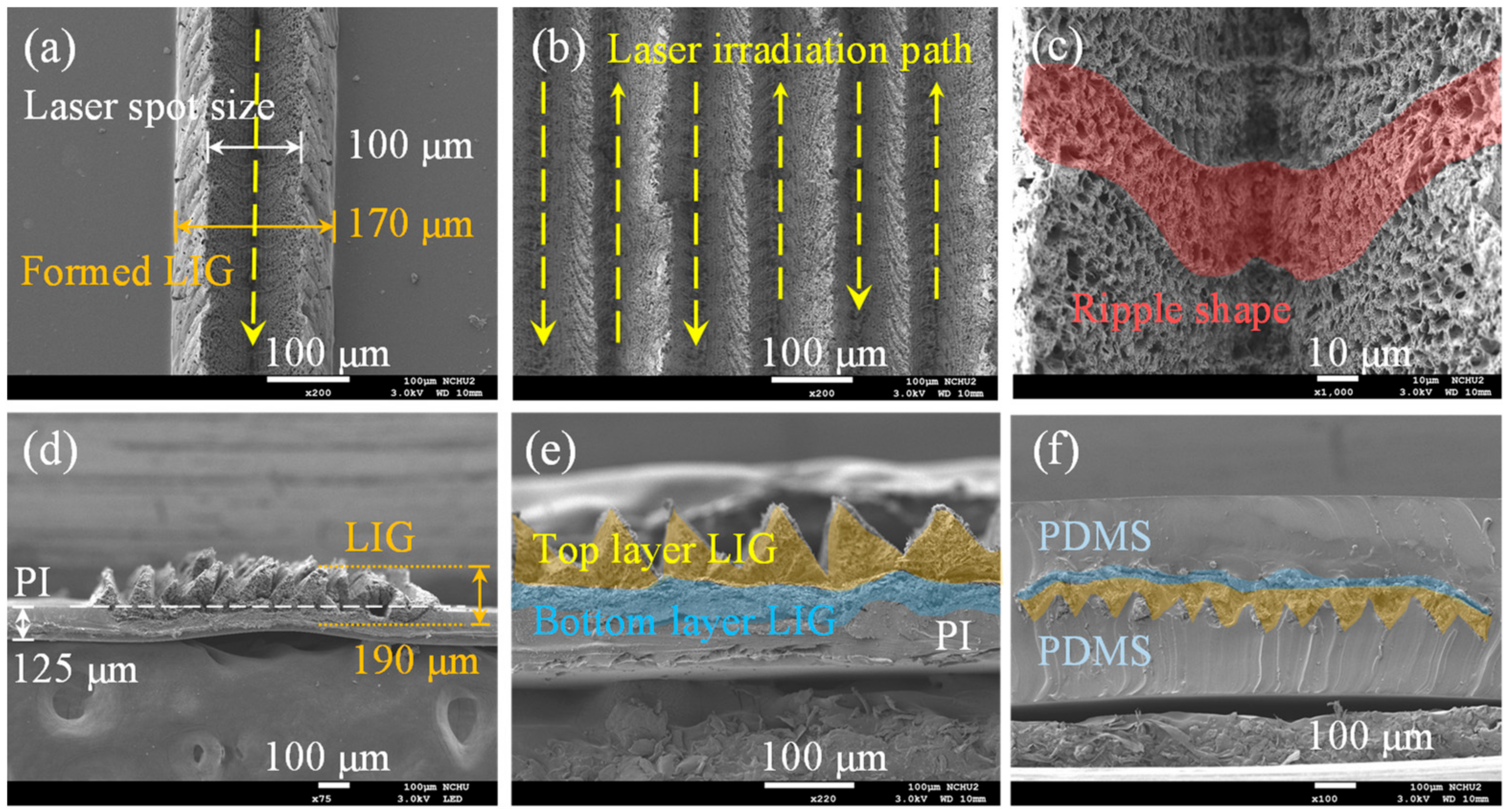 Micromachines 13 01220 g006