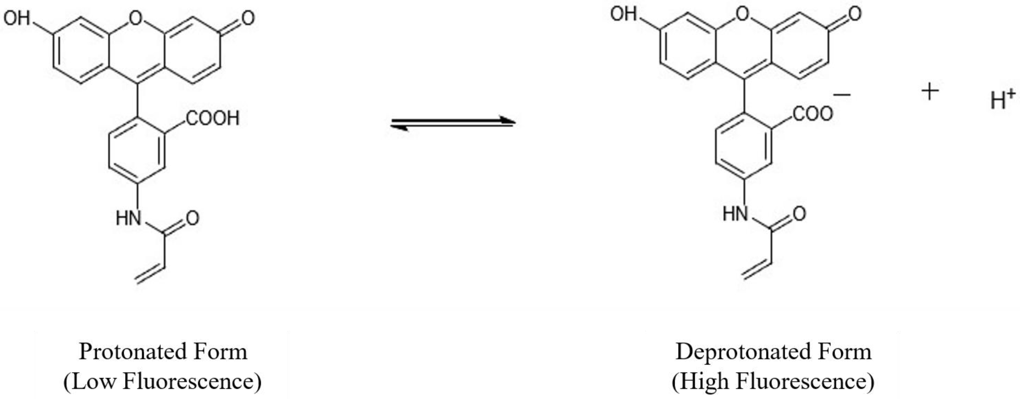 Micromachines 13 01224 g001 550