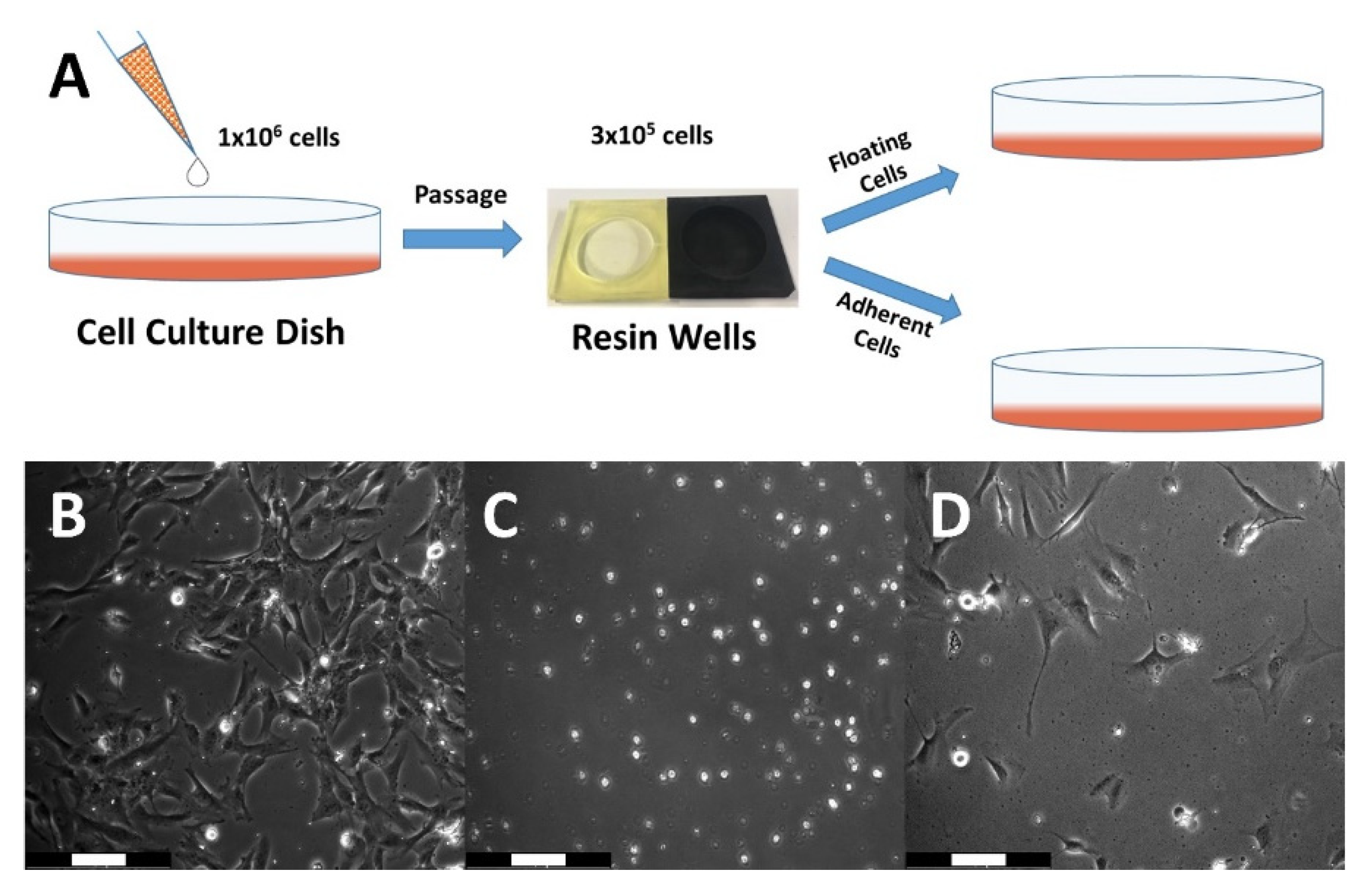 Micromachines 13 01230 g003 550
