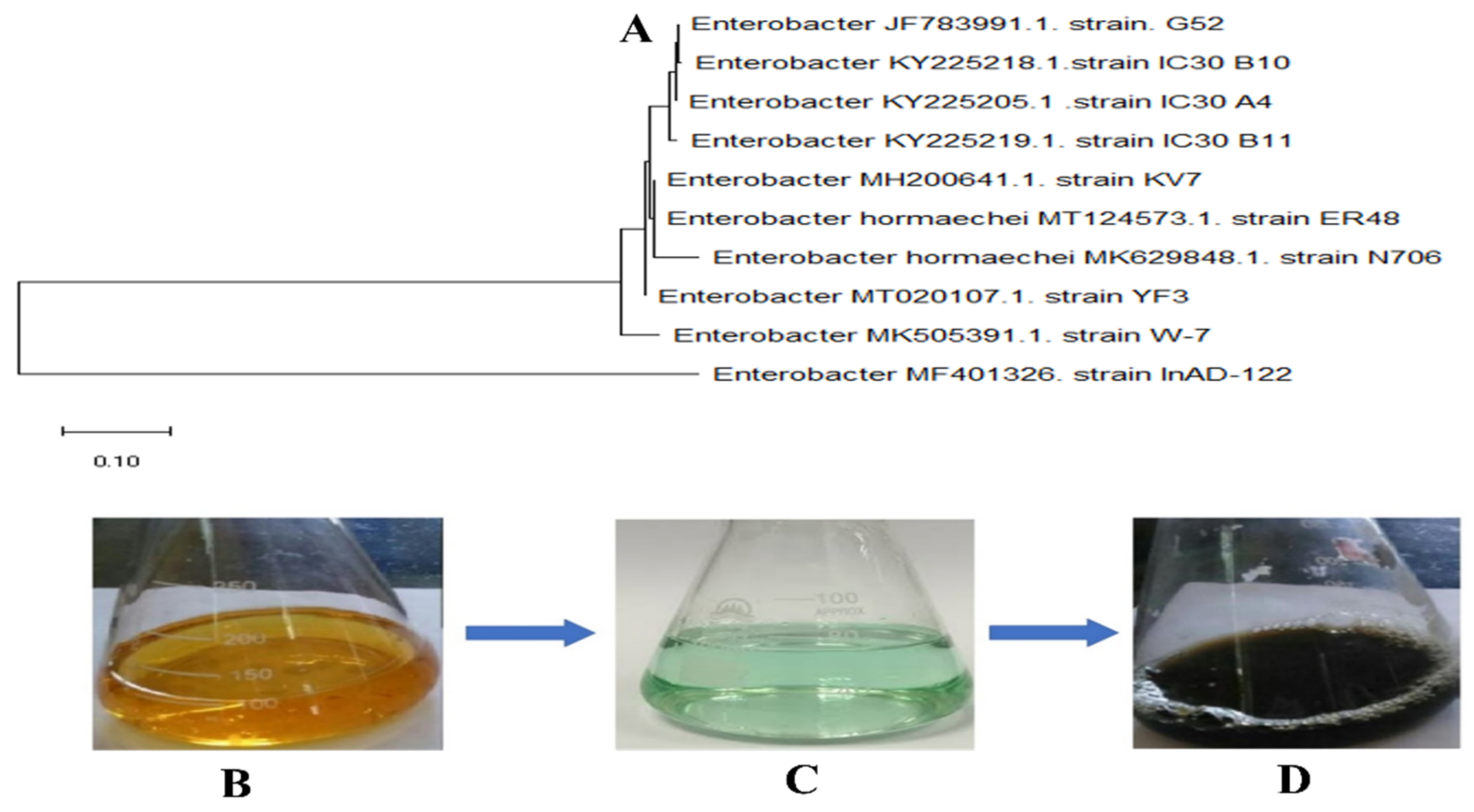 Micromachines 13 01259 g001 550