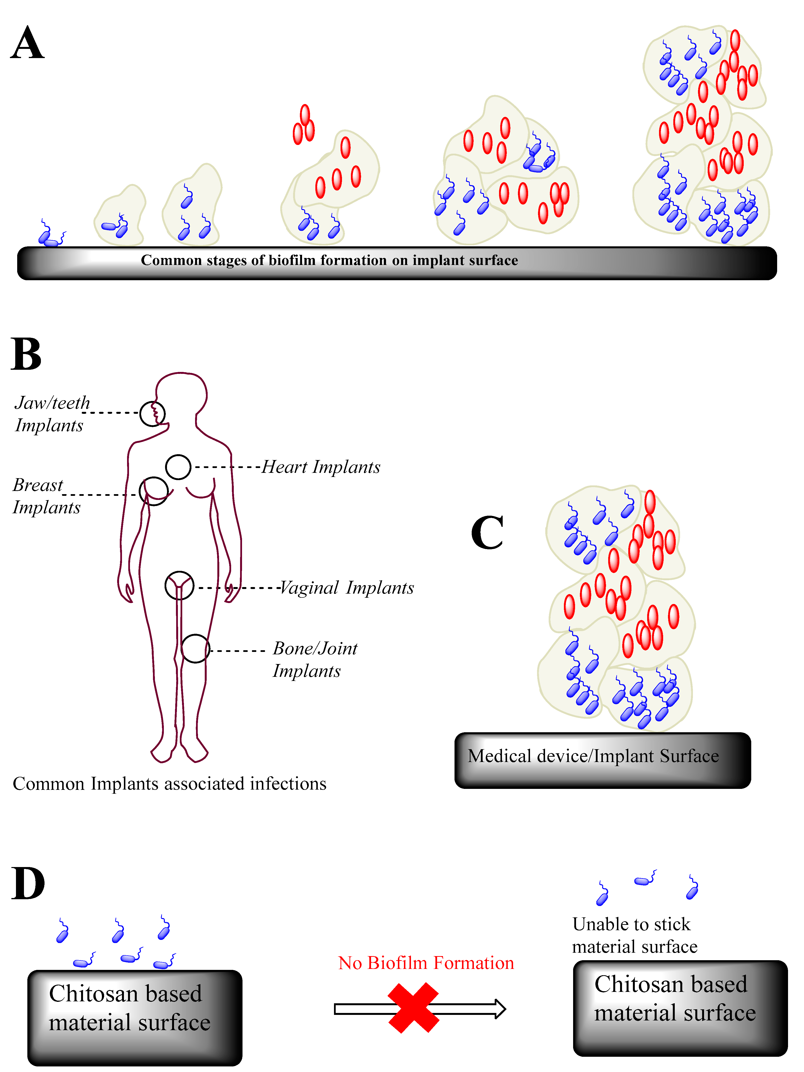 Micromachines 13 01265 g002 550