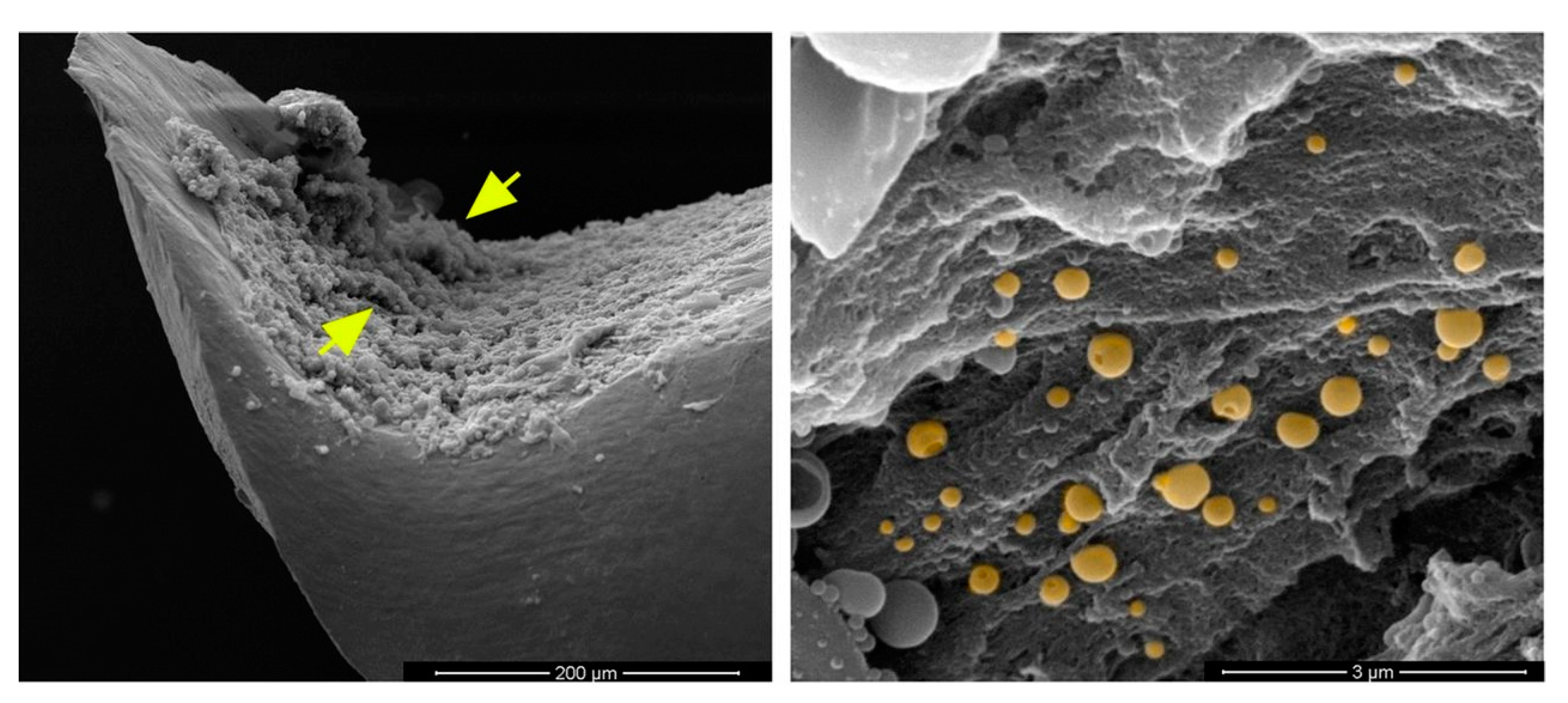 Micromachines 13 01265 g003 550