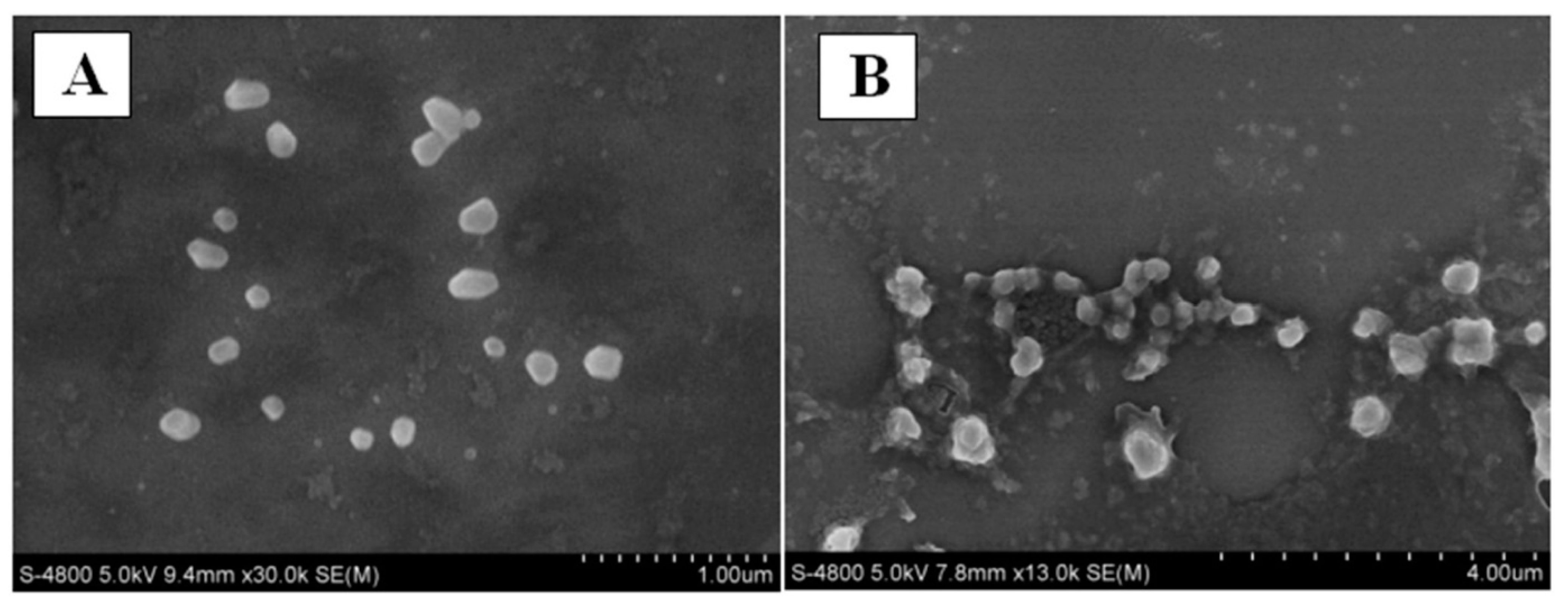 Micromachines 13 01265 g009 550