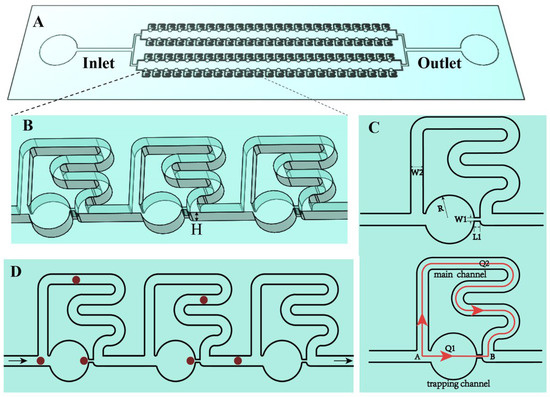 A Resistance-Based Microfluidic Chip for Deterministic Single Cell ...