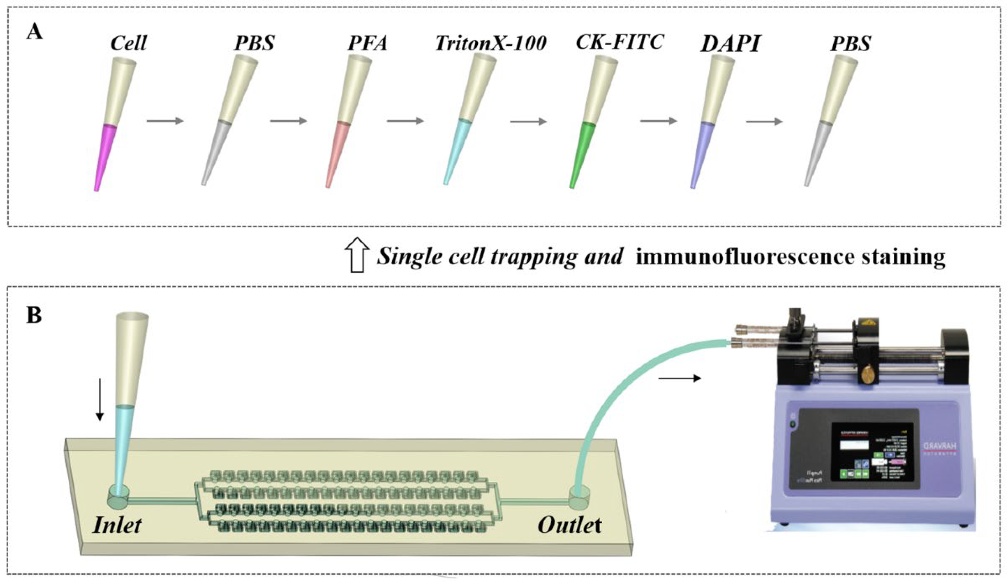 Micromachines 13 01272 g002 550