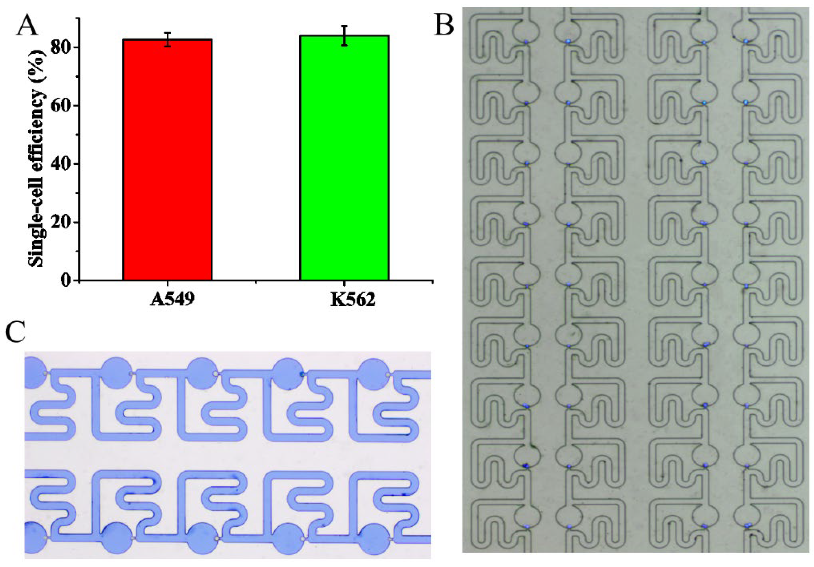 Micromachines 13 01272 g006 550