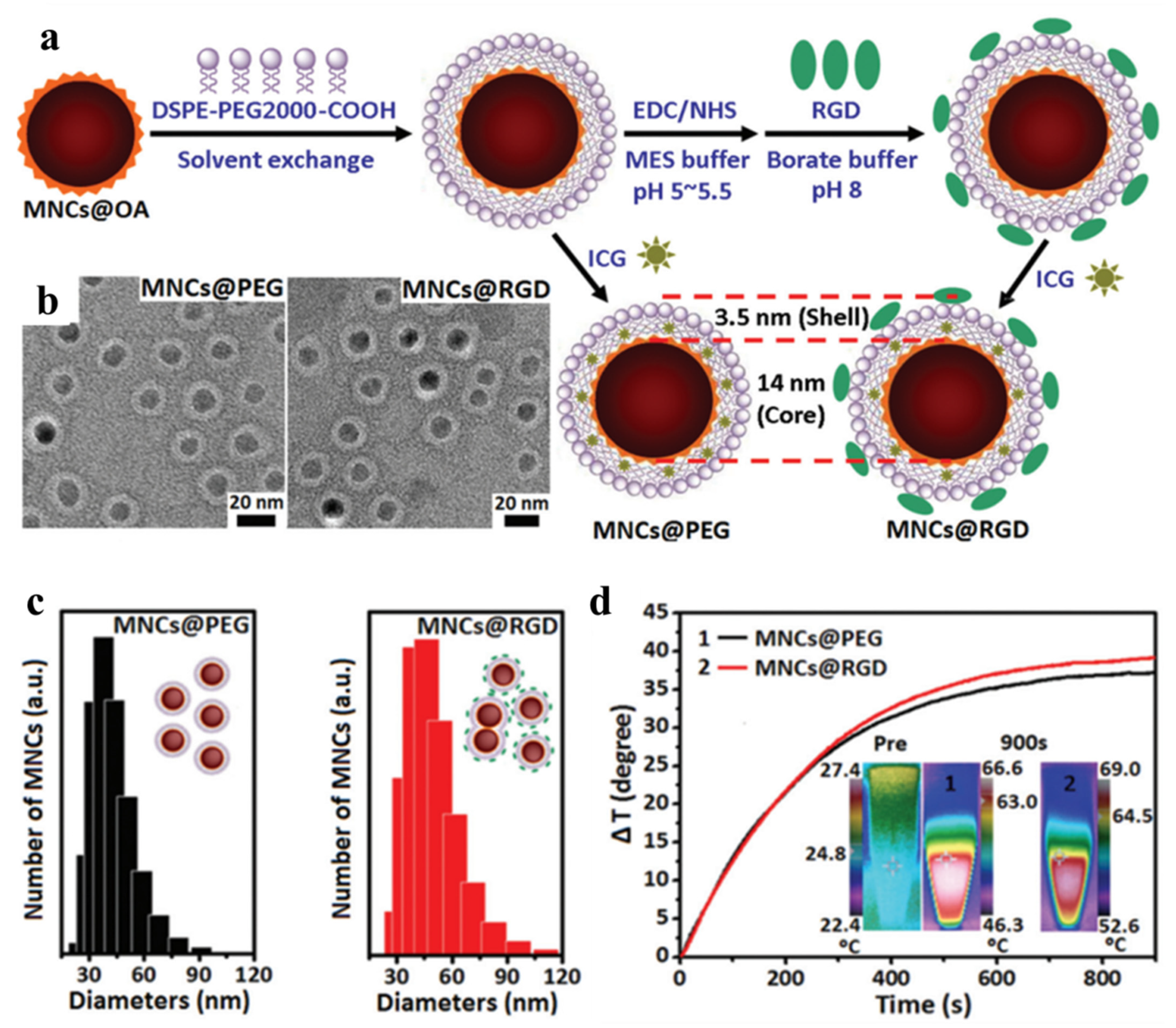Micromachines Free Full Text Functionalized Magnetic Nanoparticles For Alternating Magnetic Field Or Near Infrared Light Induced Cancer Therapies Html