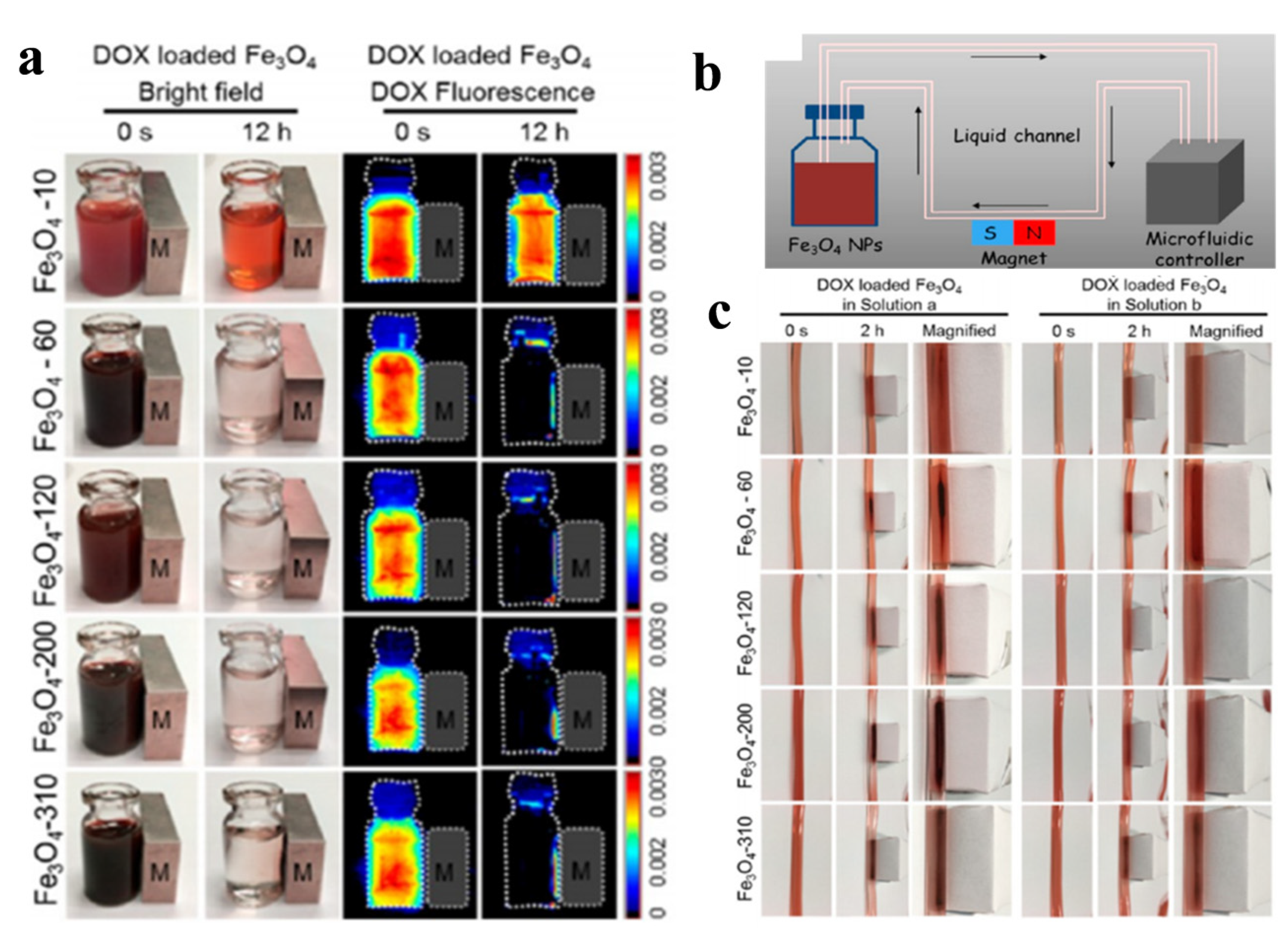 Micromachines Free Full Text Functionalized Magnetic Nanoparticles For Alternating Magnetic Field Or Near Infrared Light Induced Cancer Therapies Html