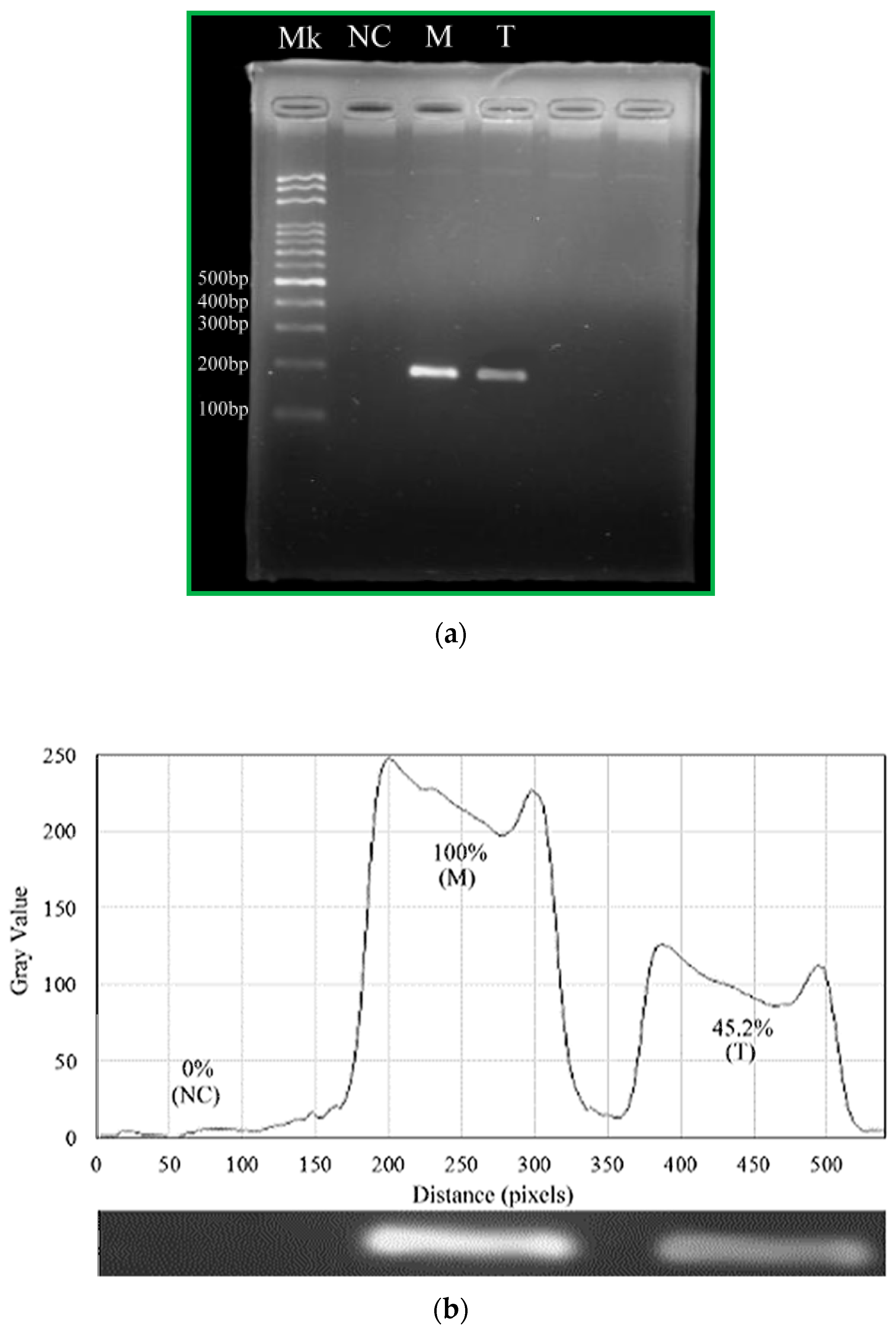Micromachines 13 01289 g011 550