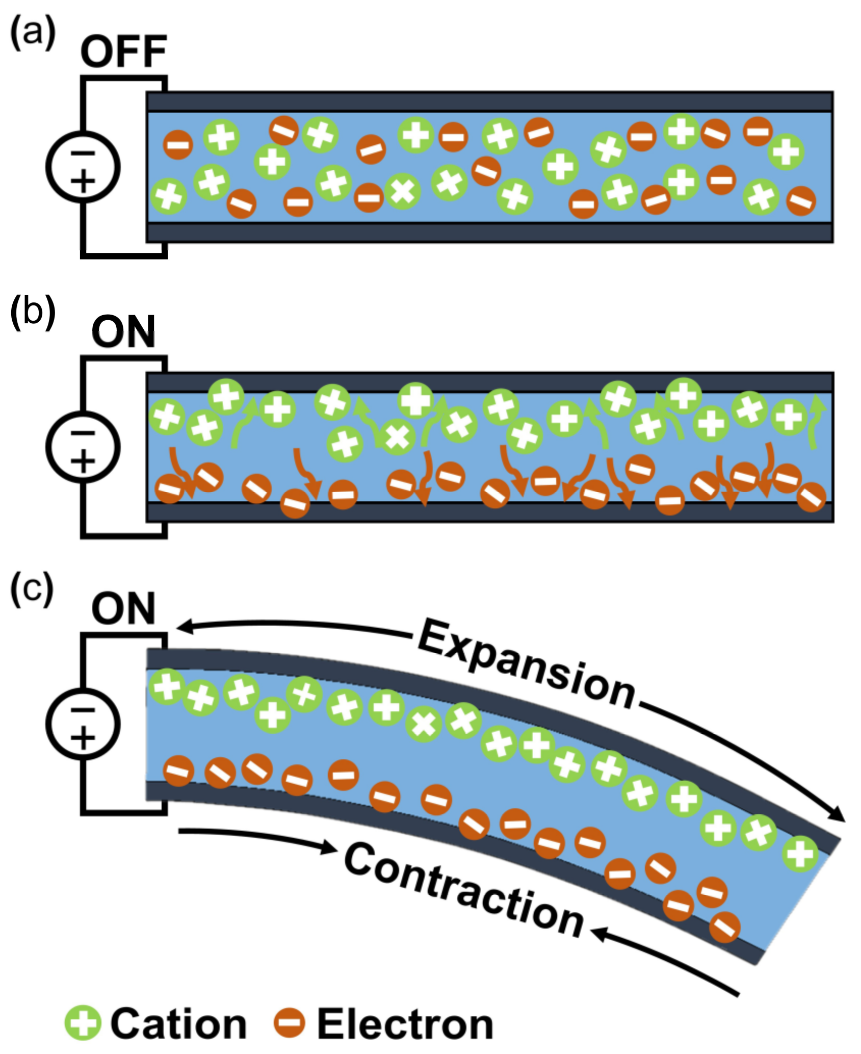 Micromachines 13 01290 g003