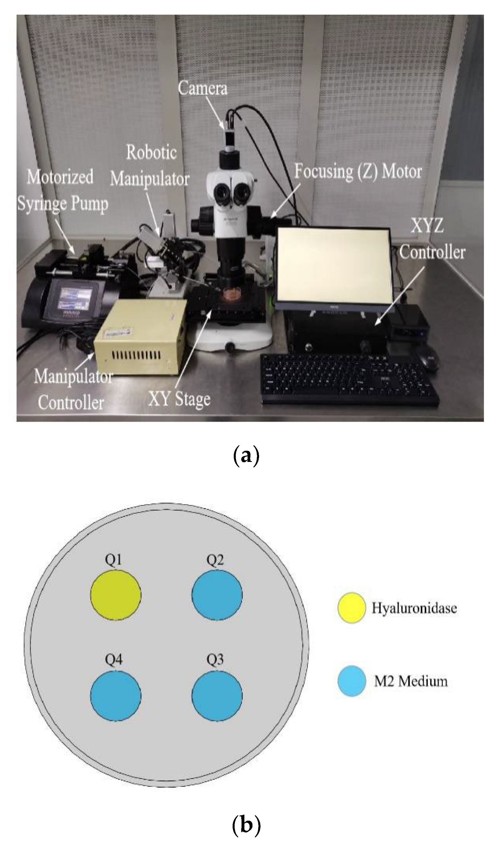Micromachines 13 01301 g001a Micromachines 13 01301 g001a