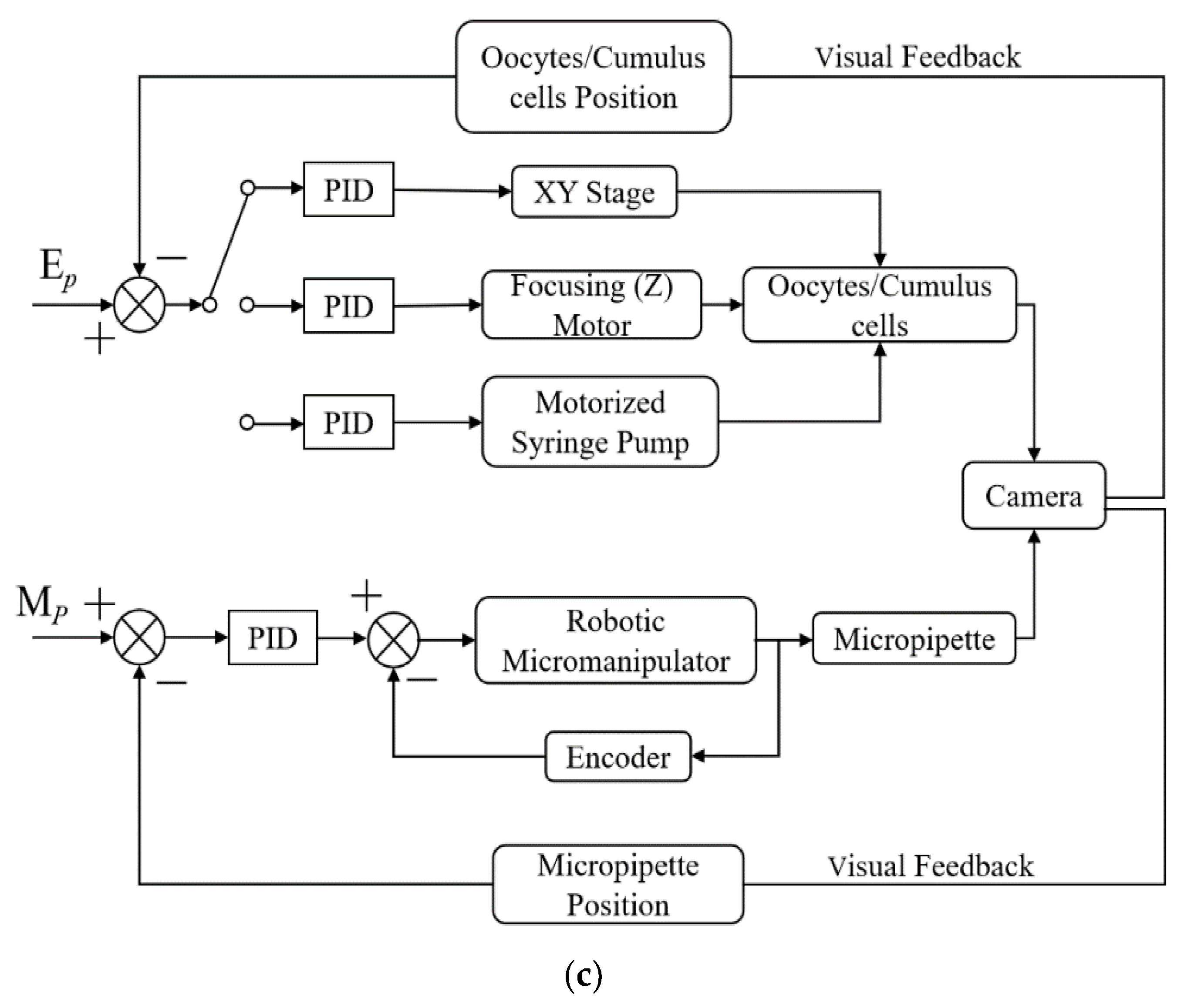 Micromachines 13 01301 g001b Micromachines 13 01301 g001b