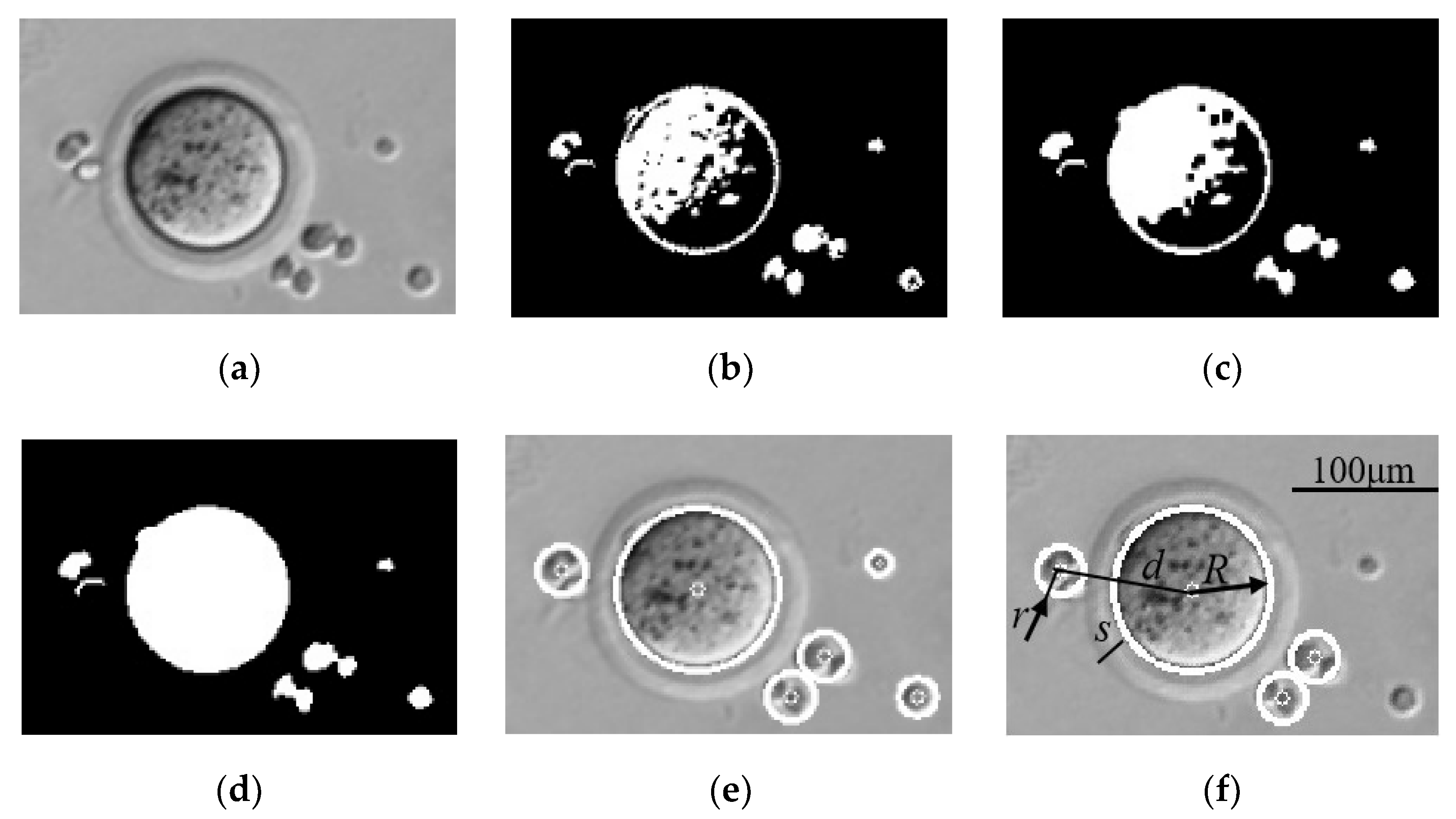 Micromachines 13 01301 g003 Micromachines 13 01301 g003