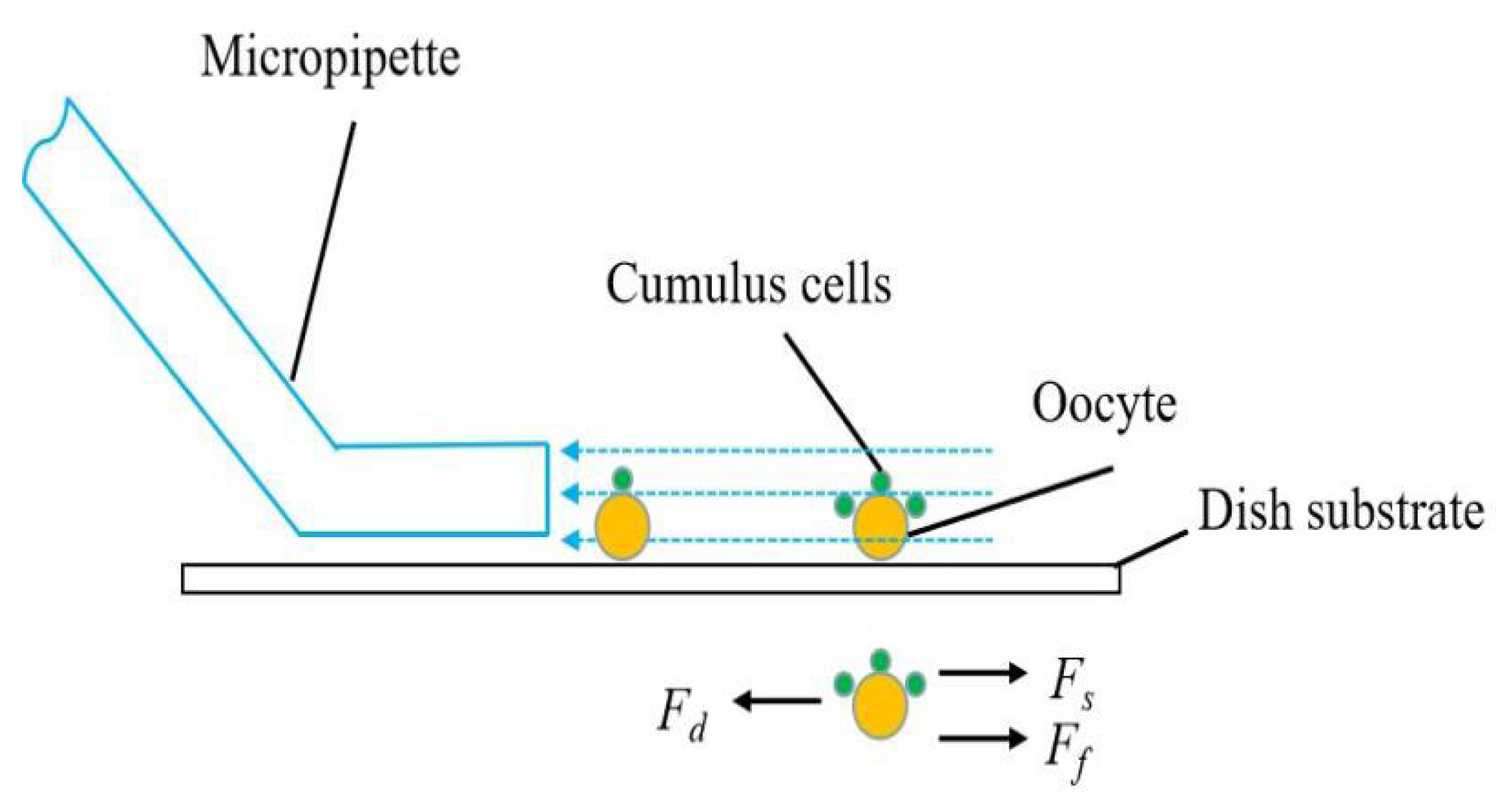 Micromachines 13 01301 g006 Micromachines 13 01301 g006