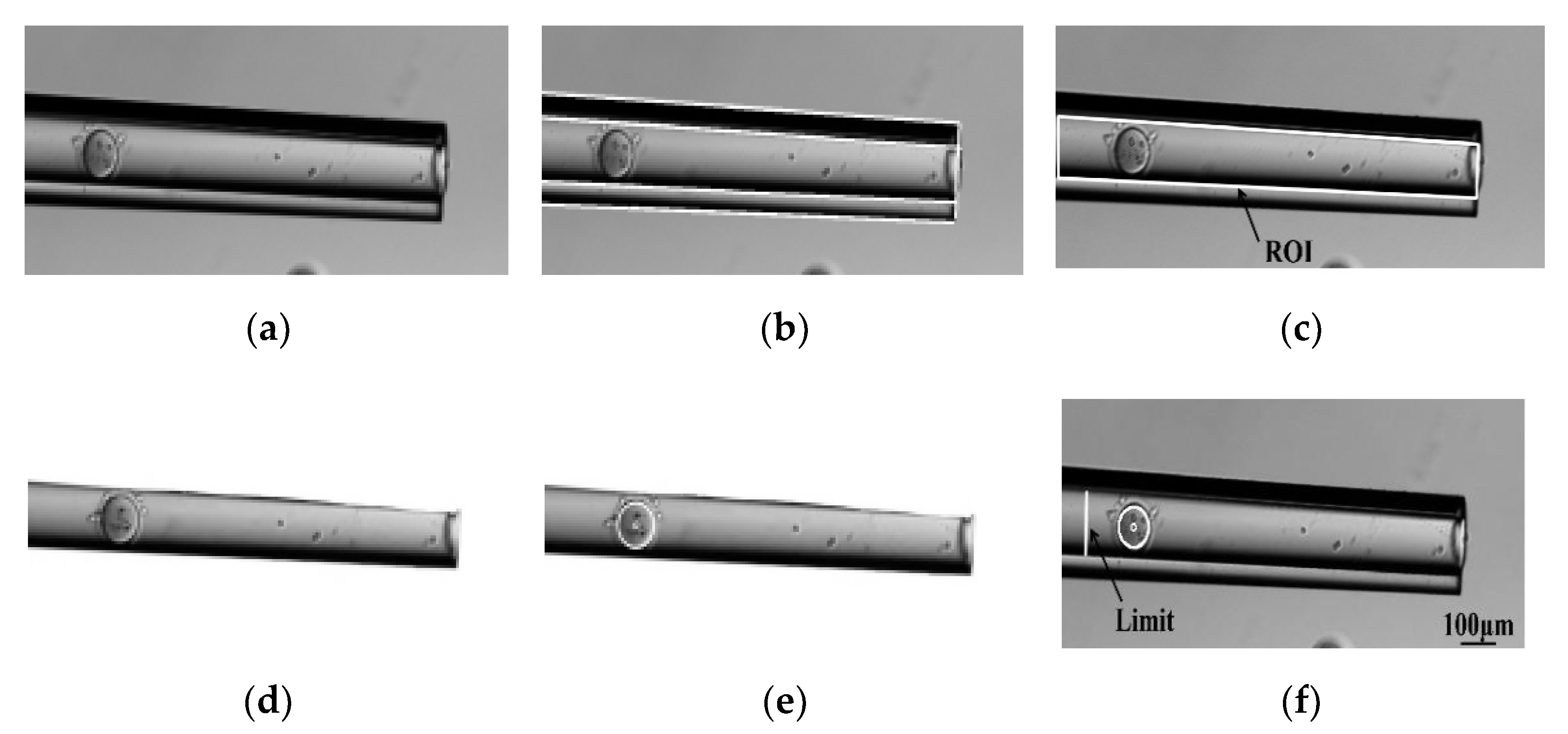 Micromachines 13 01301 g007 Micromachines 13 01301 g007
