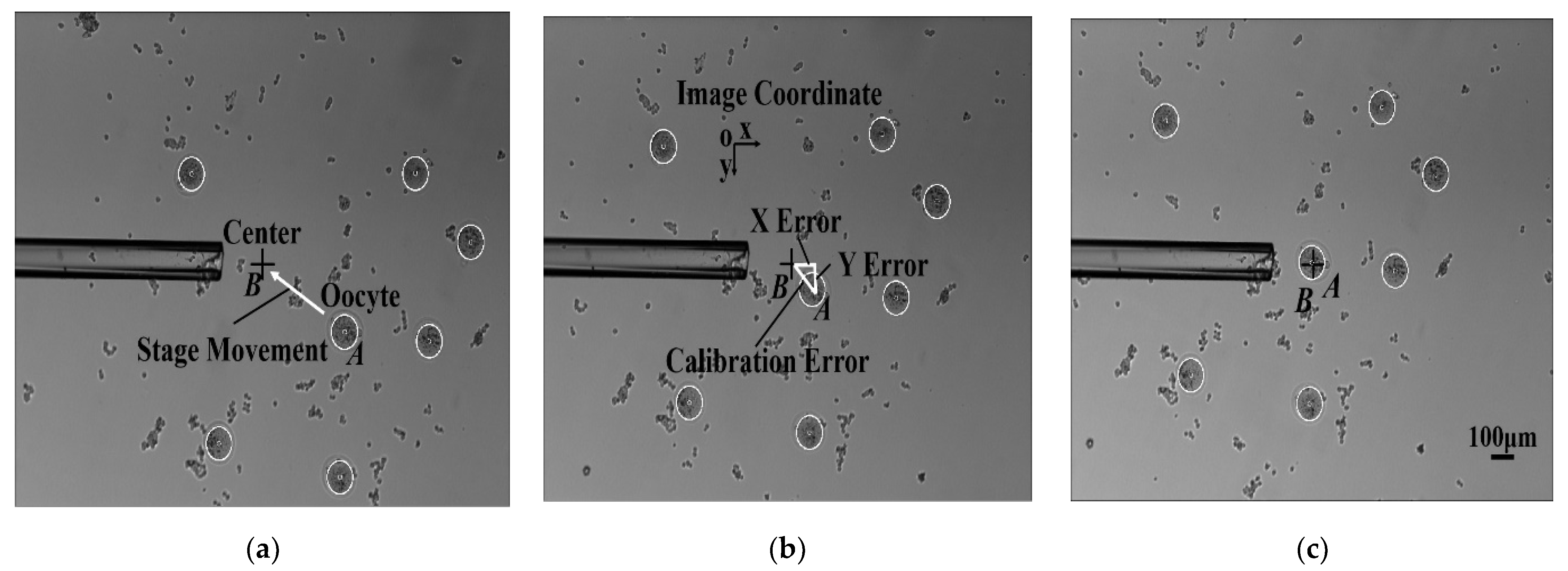 Micromachines 13 01301 g008 Micromachines 13 01301 g008