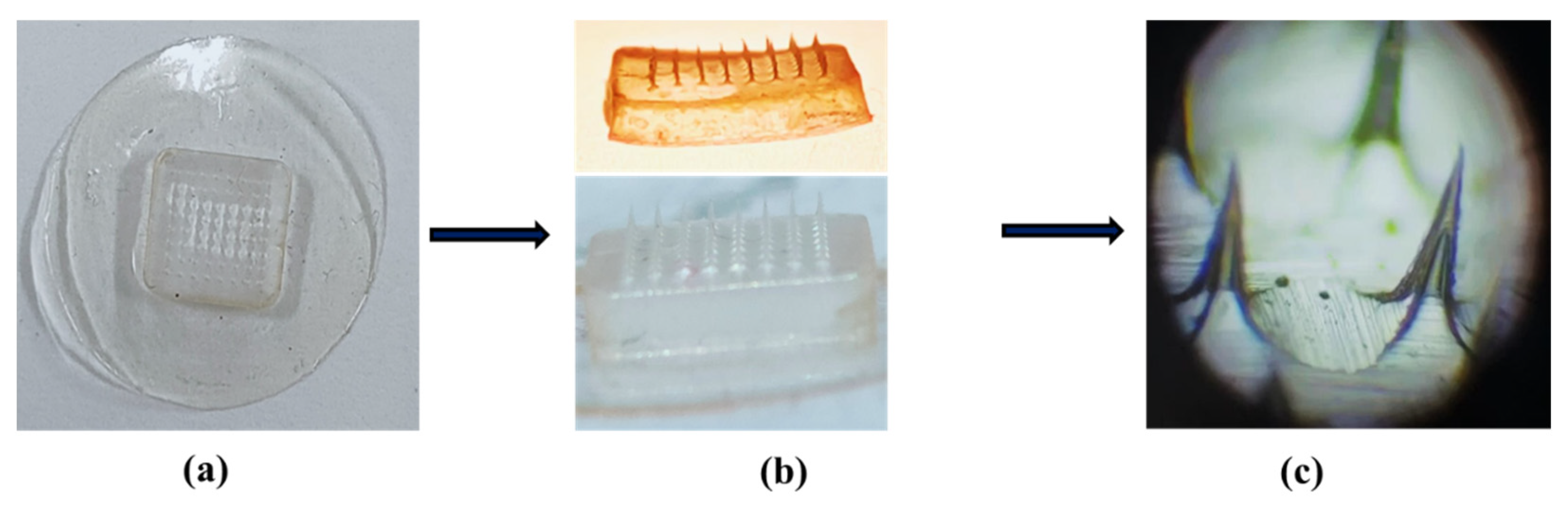 Micromachines 13 01304 g001