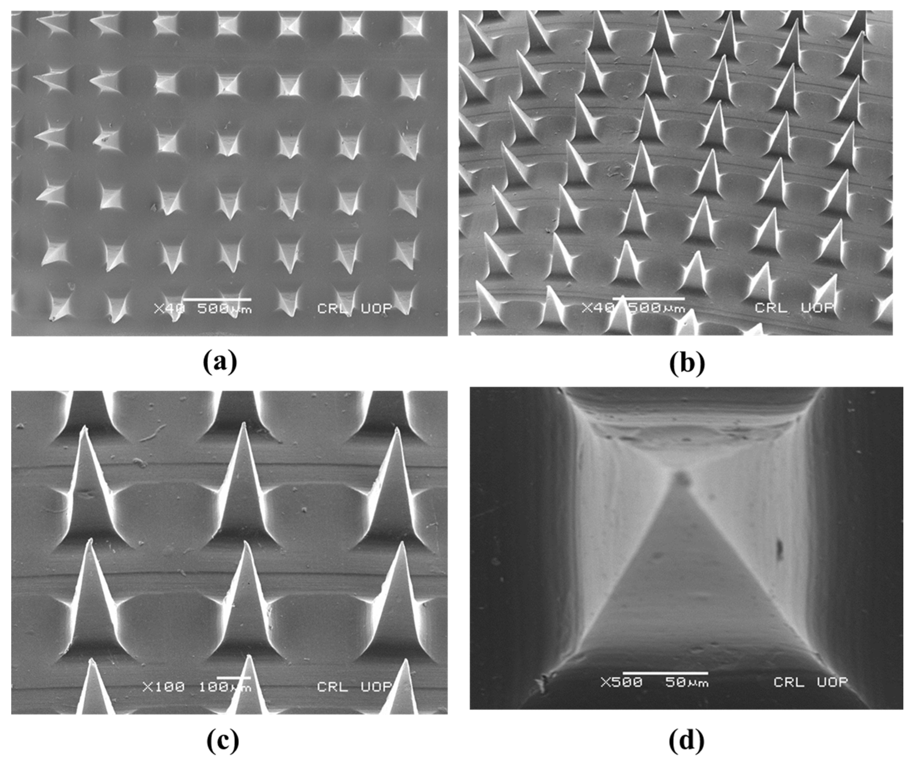 Micromachines 13 01304 g003