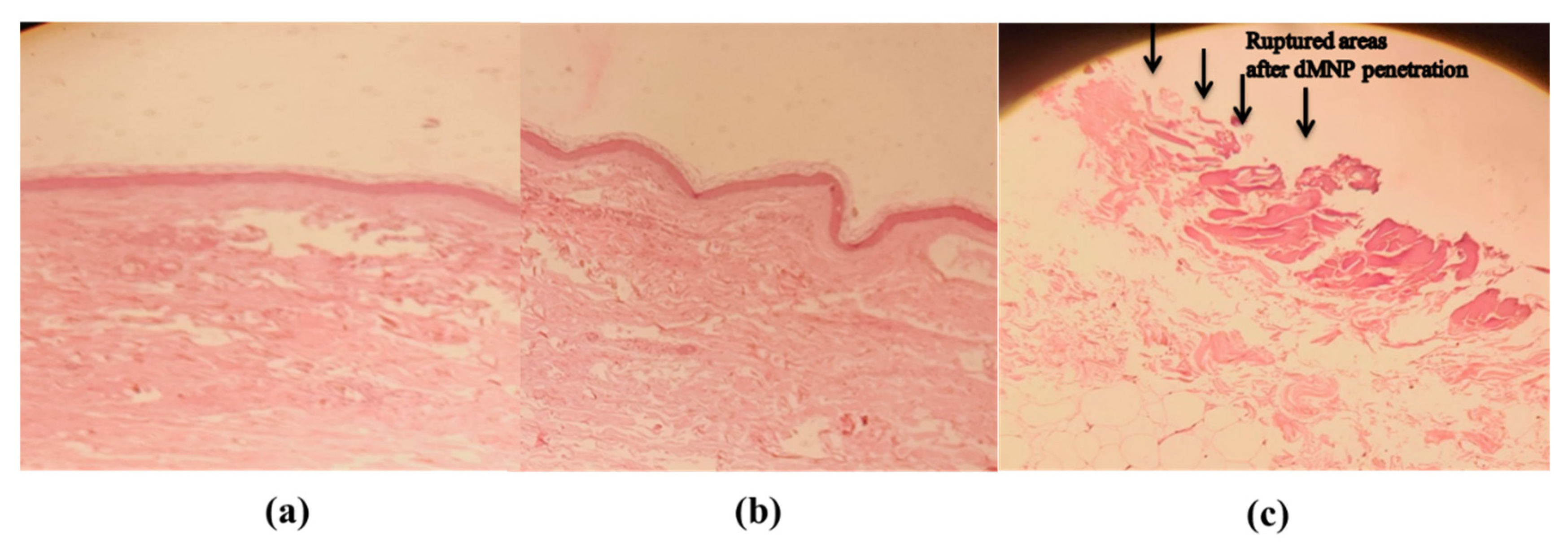 Micromachines 13 01304 g010