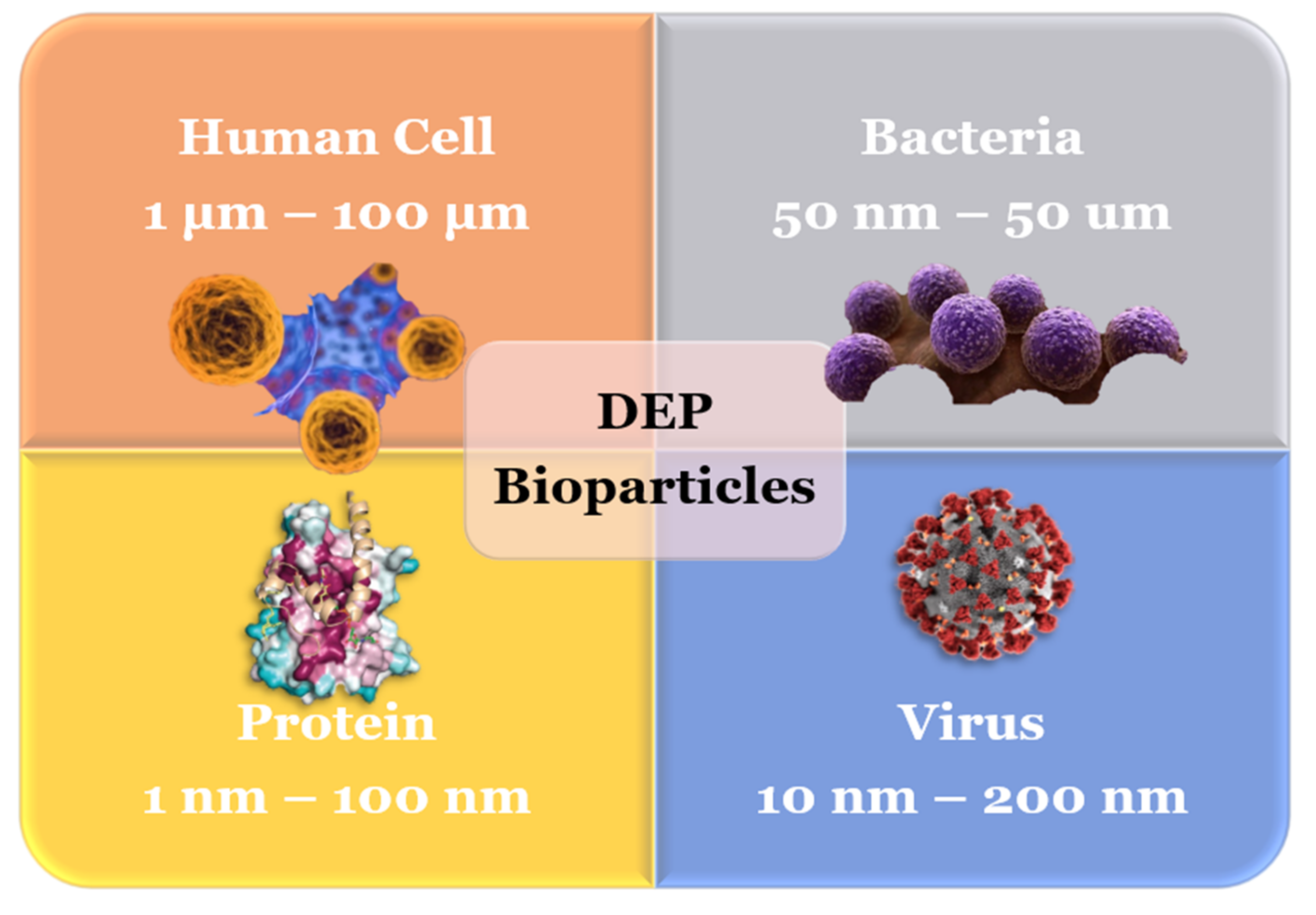 Micromachines 13 01308 g002 Micromachines 13 01308 g002