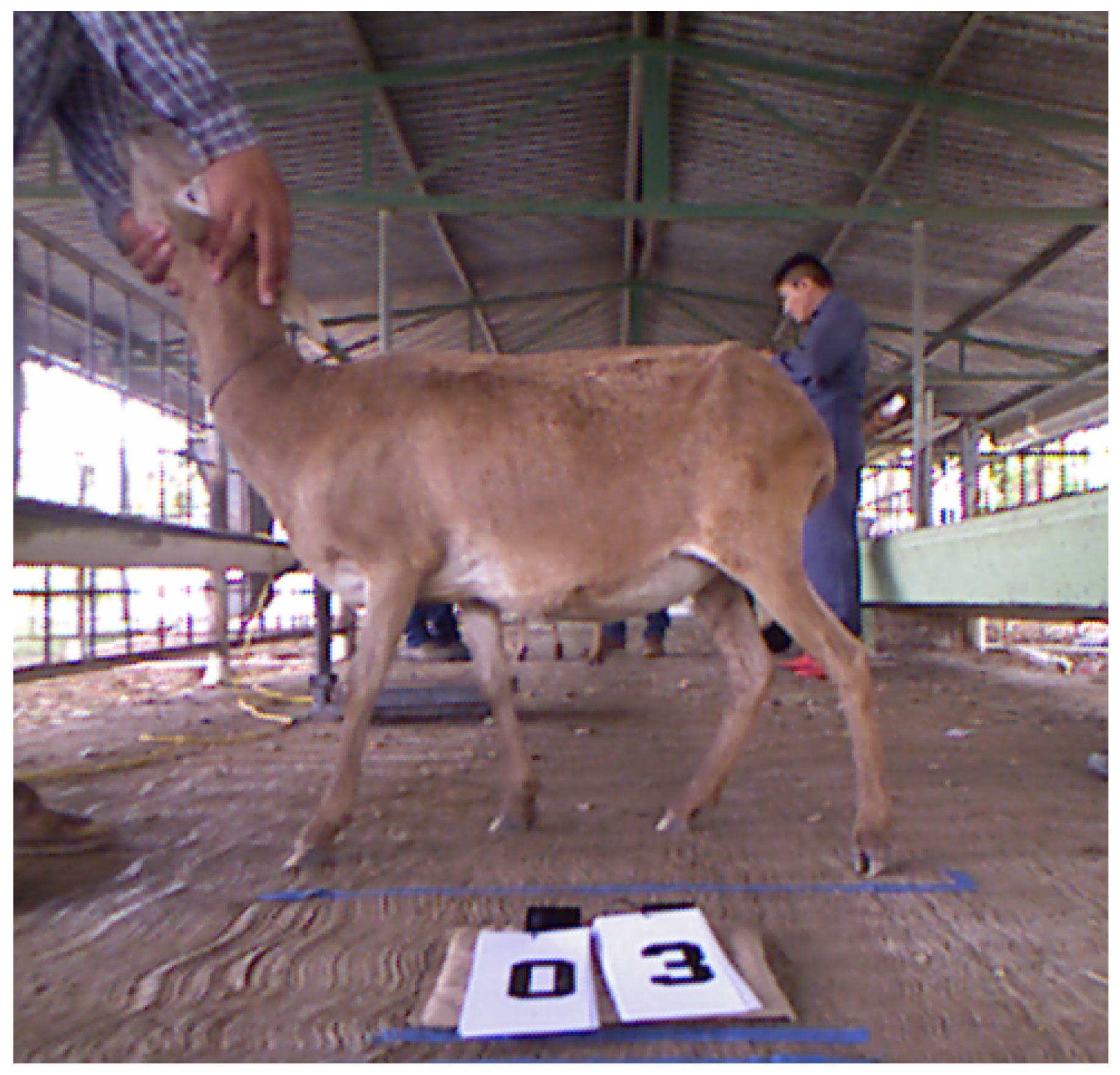 Micromachines 13 01325 g003 550