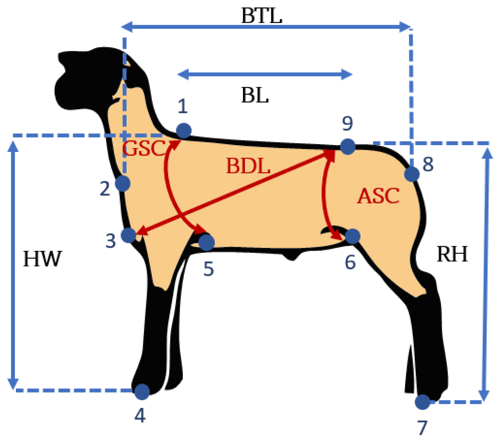 Micromachines 13 01325 g008 550