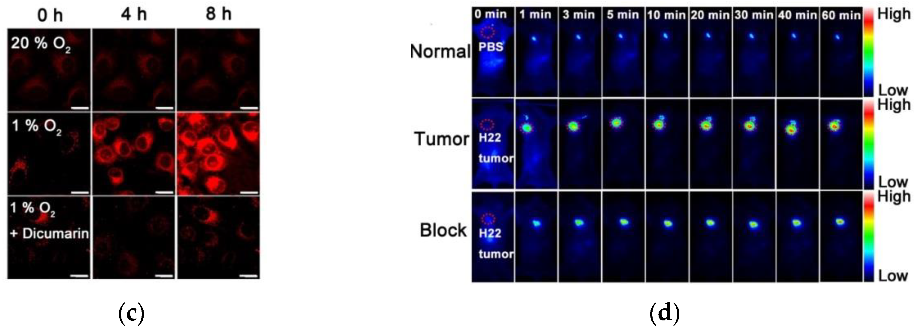 Micromachines 13 01328 g009b 550