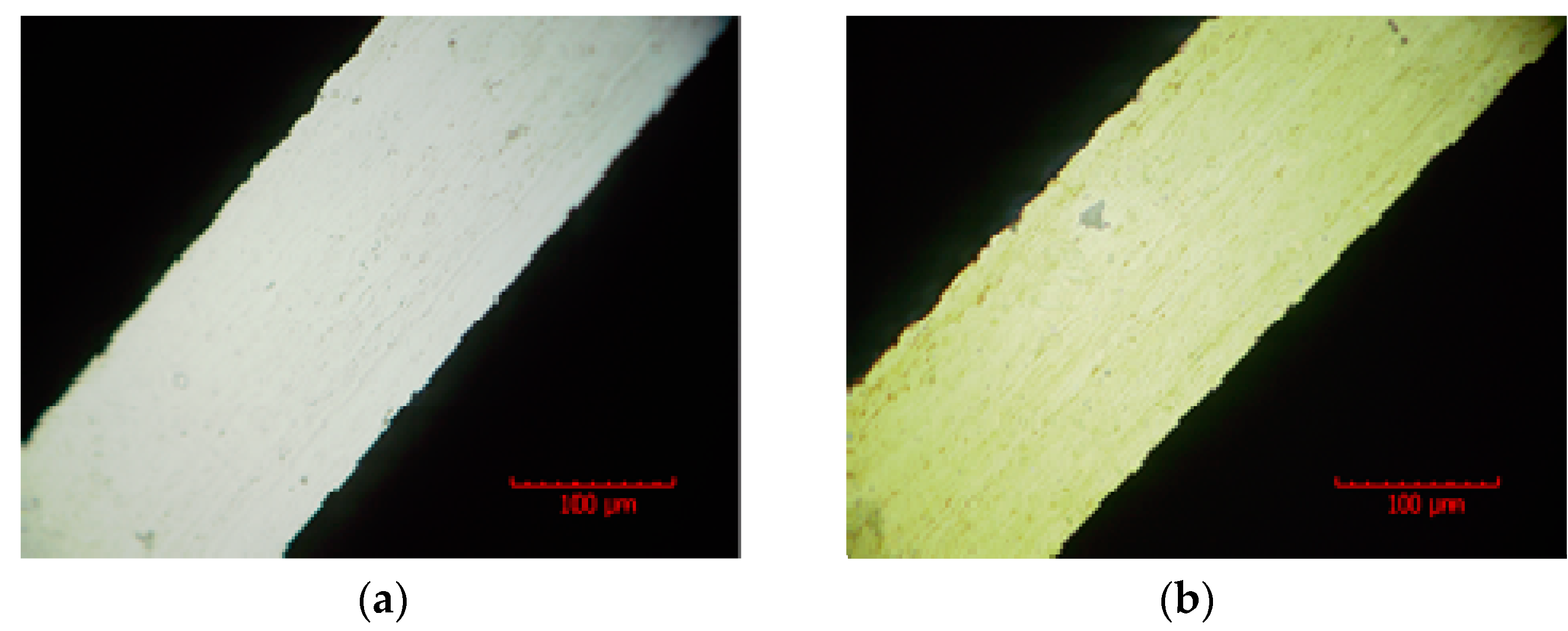 Micromachines 13 01346 g007 550