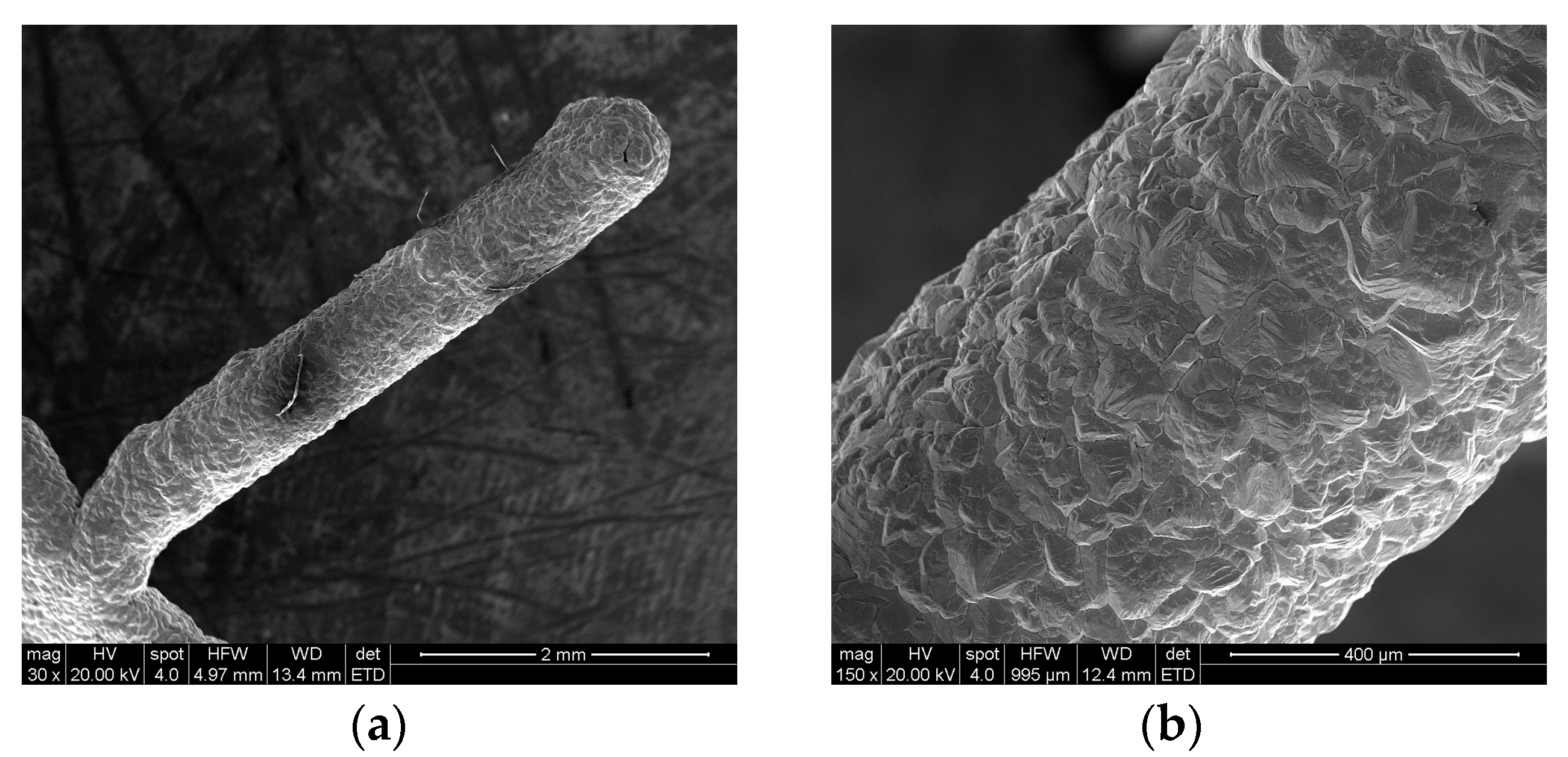 Micromachines 13 01346 g009 550