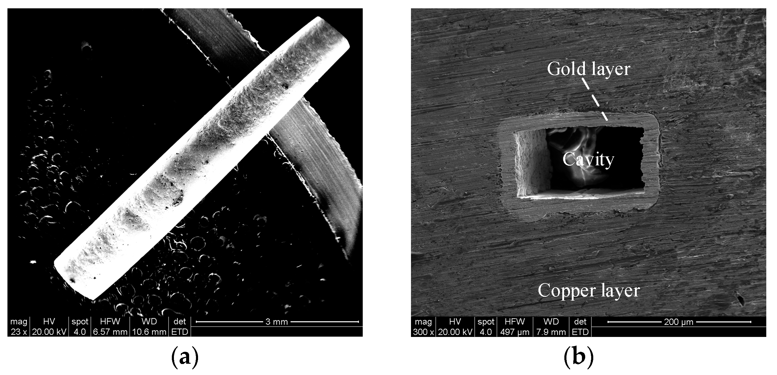 Micromachines 13 01346 g010 550