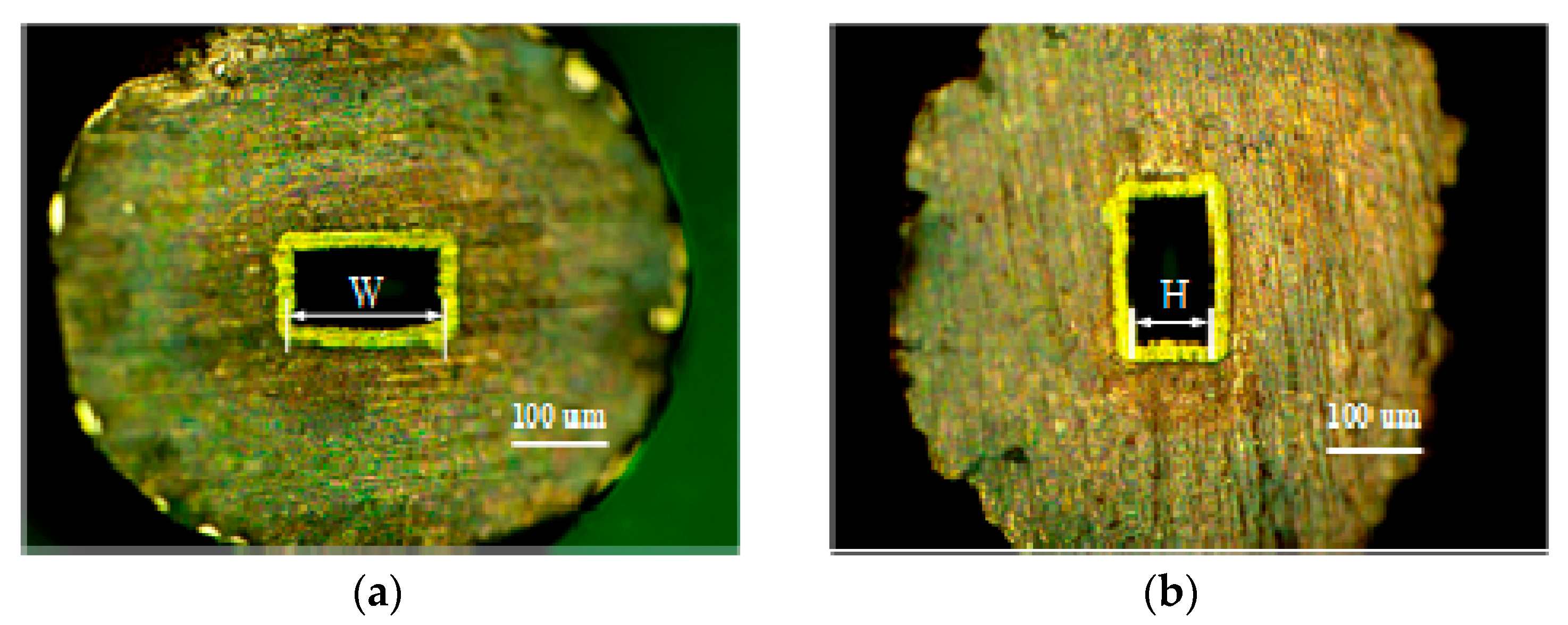 Micromachines 13 01346 g012 550