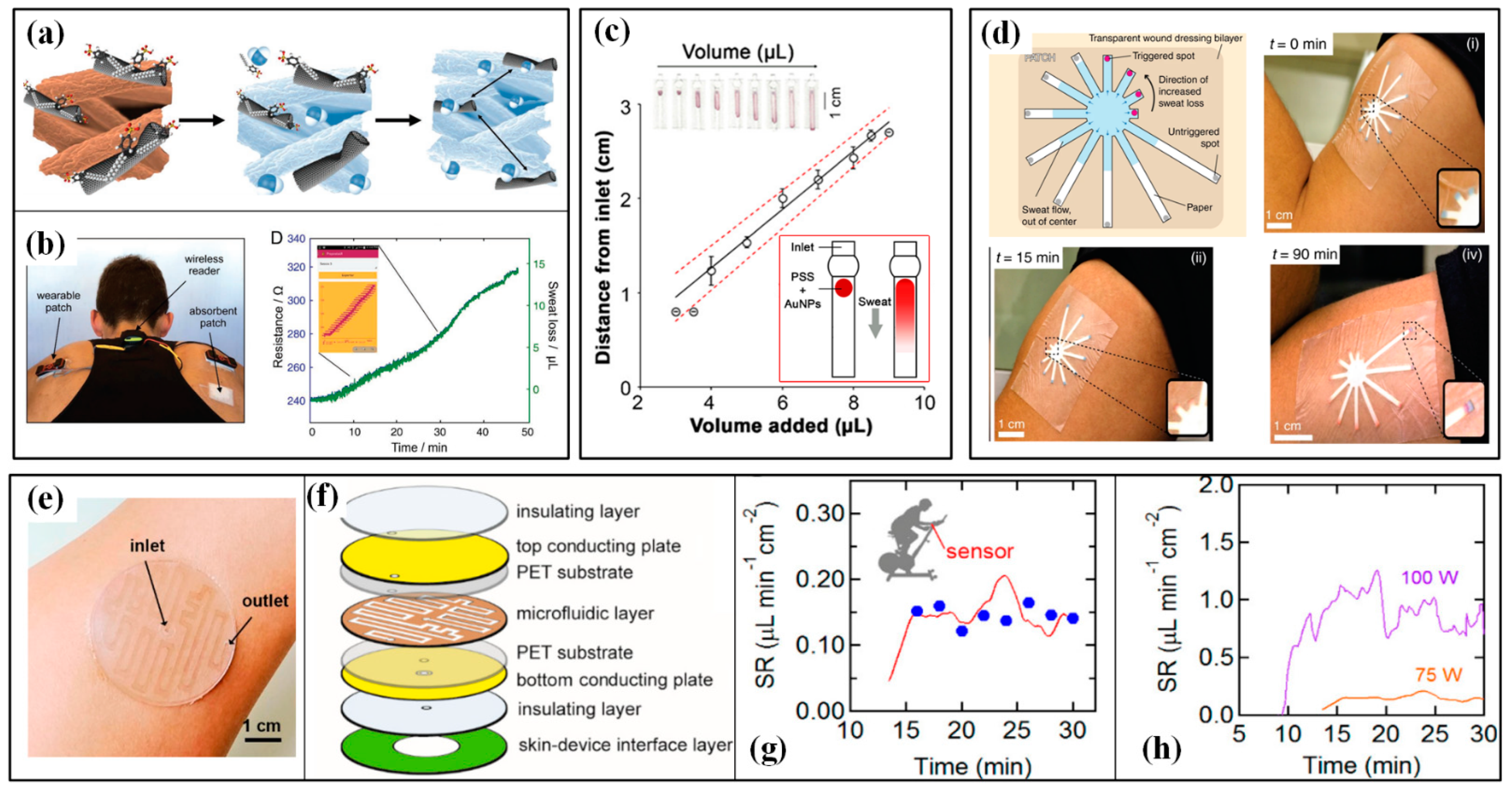 Wearable Sensors for Sports