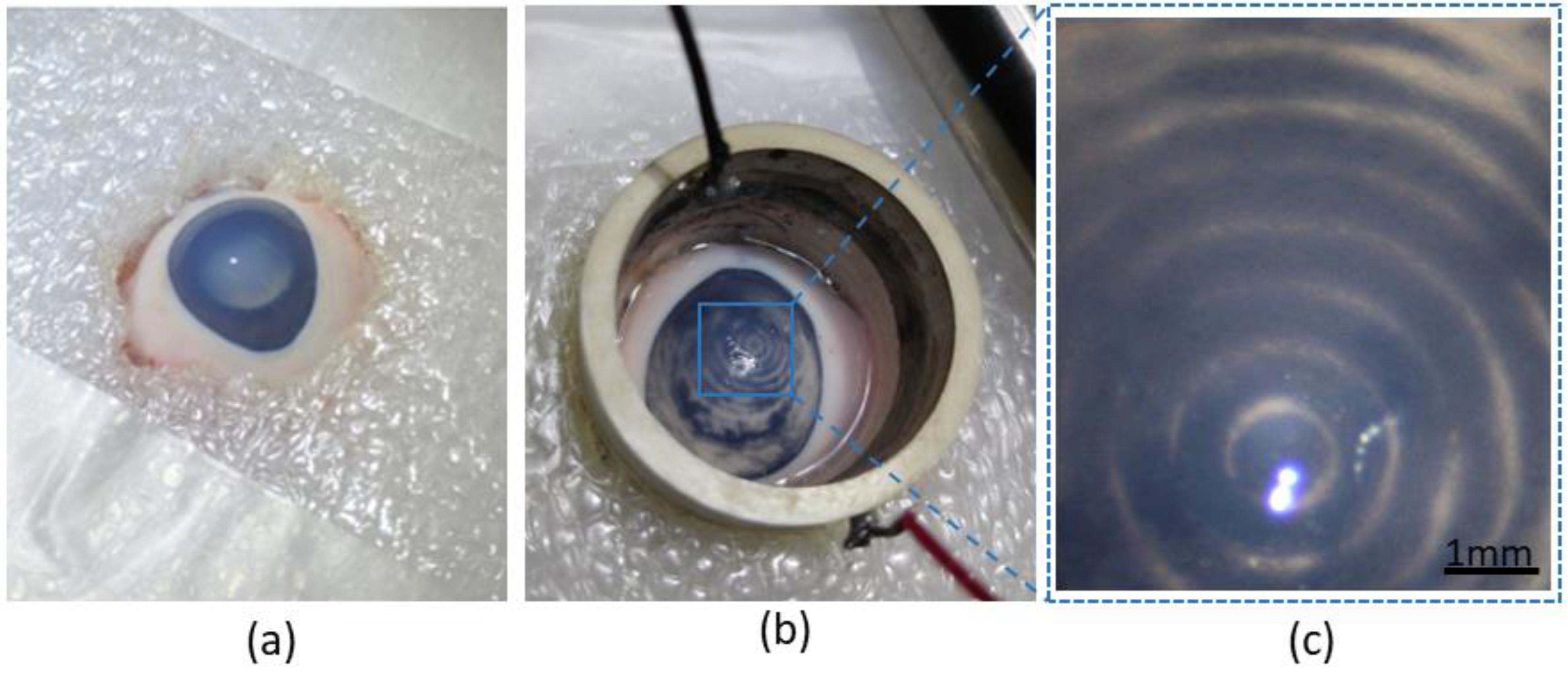 Micromachines 13 01362 g004 550
