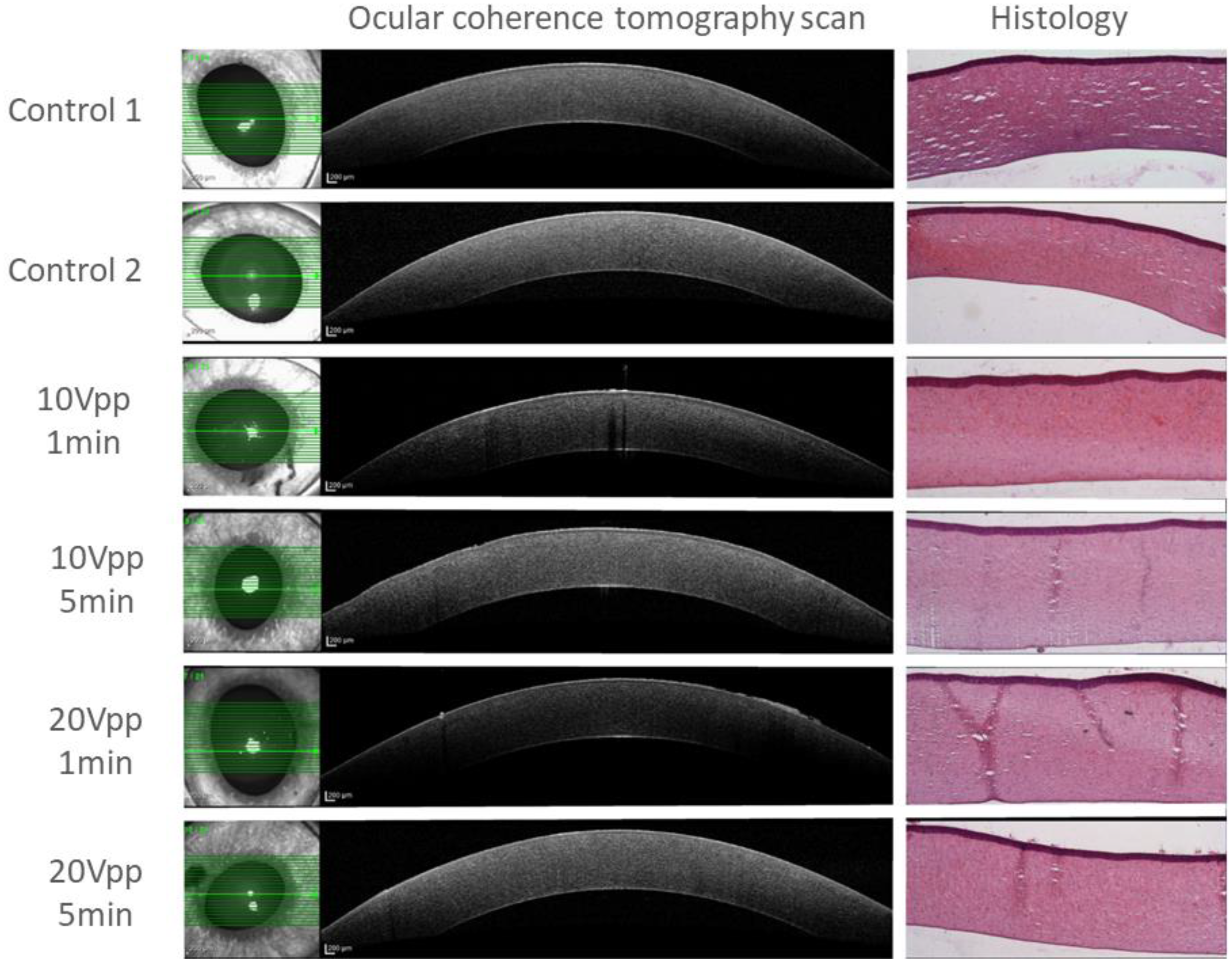 Micromachines 13 01362 g006 550