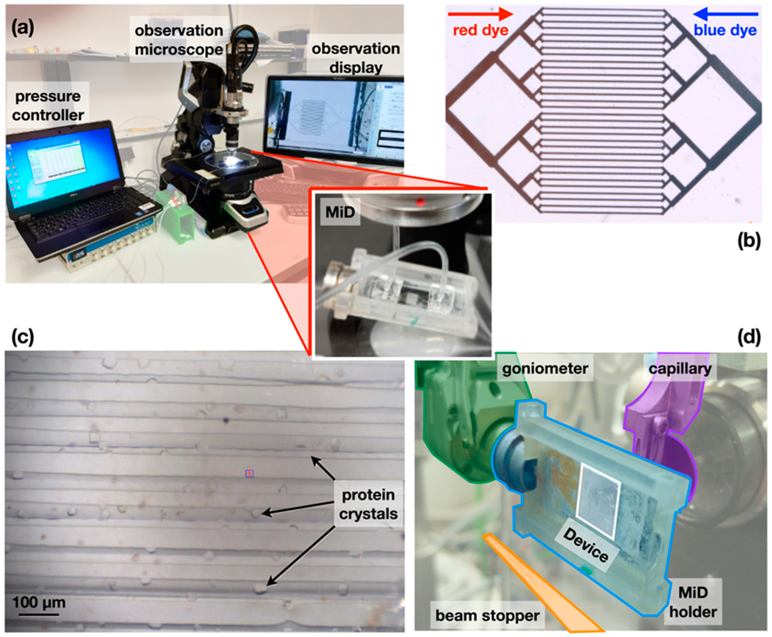Micromachines 13 01365 g002 550