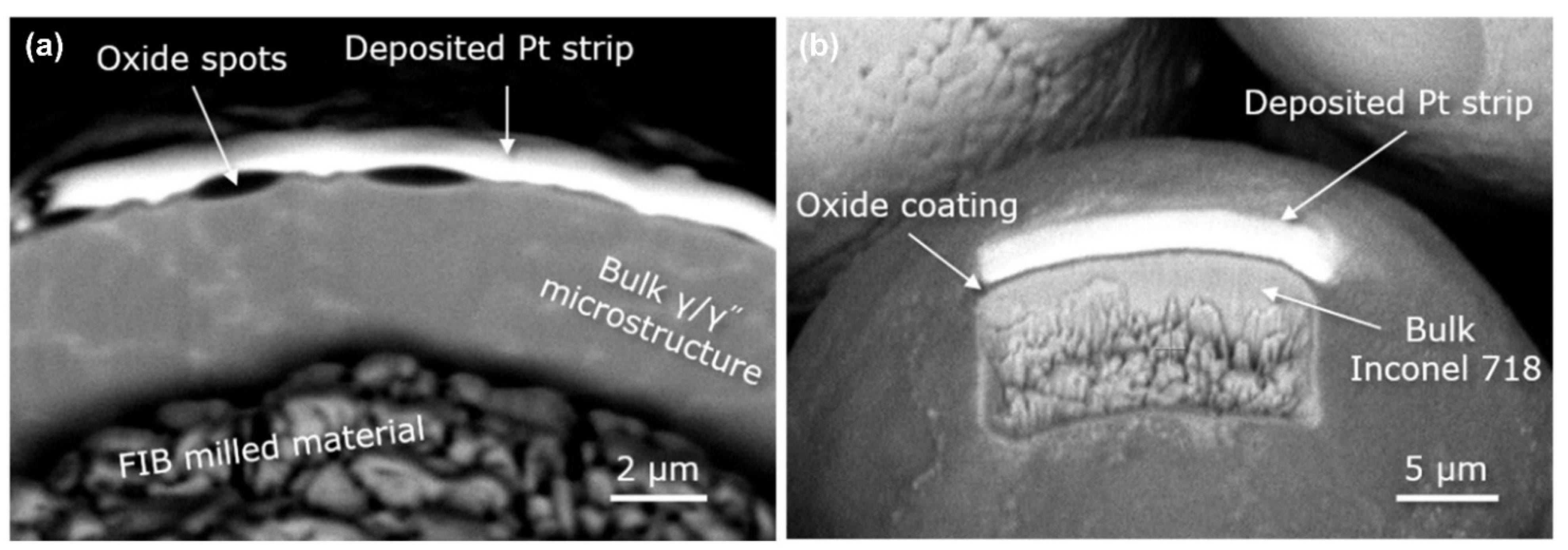 Micromachines 13 01366 g018