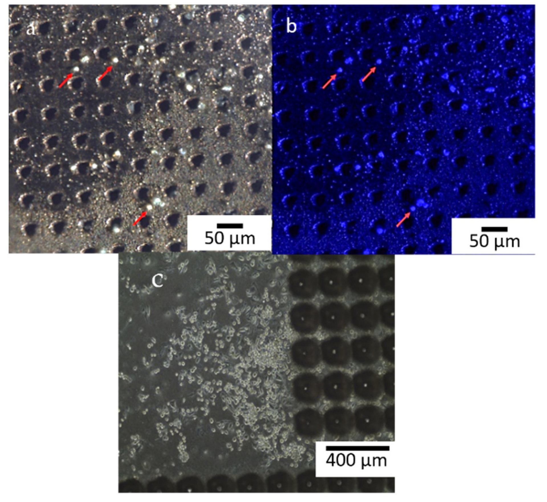Micromachines 13 01371 g009