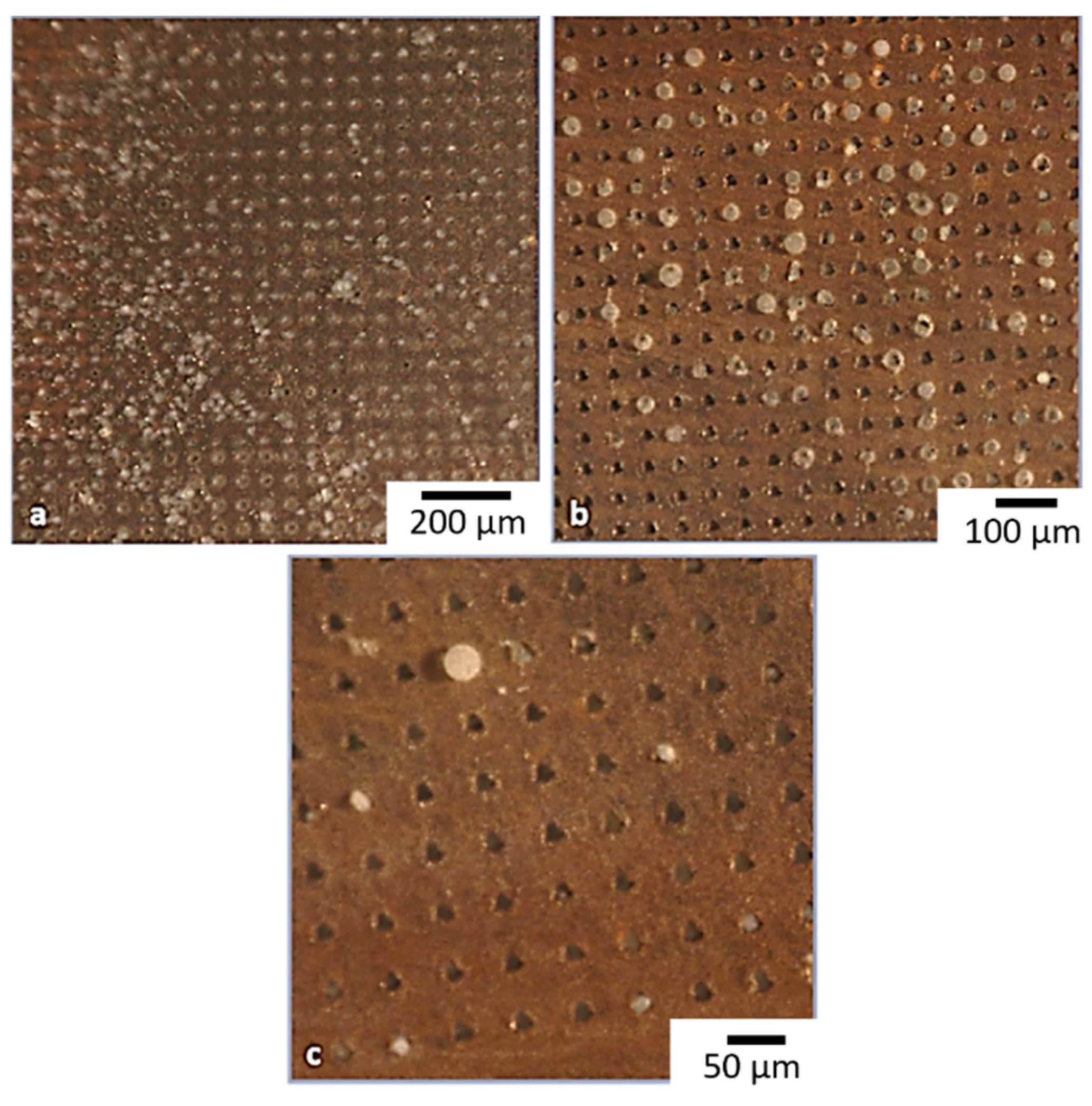 Micromachines 13 01371 g010
