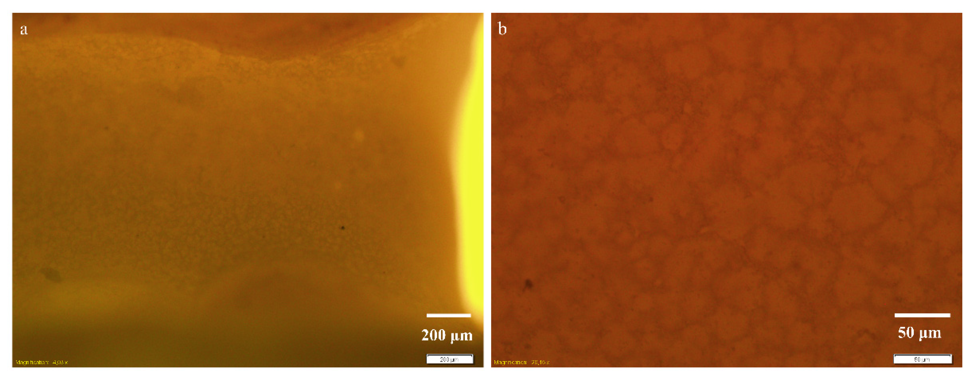Micromachines 13 01377 g006 Micromachines 13 01377 g006
