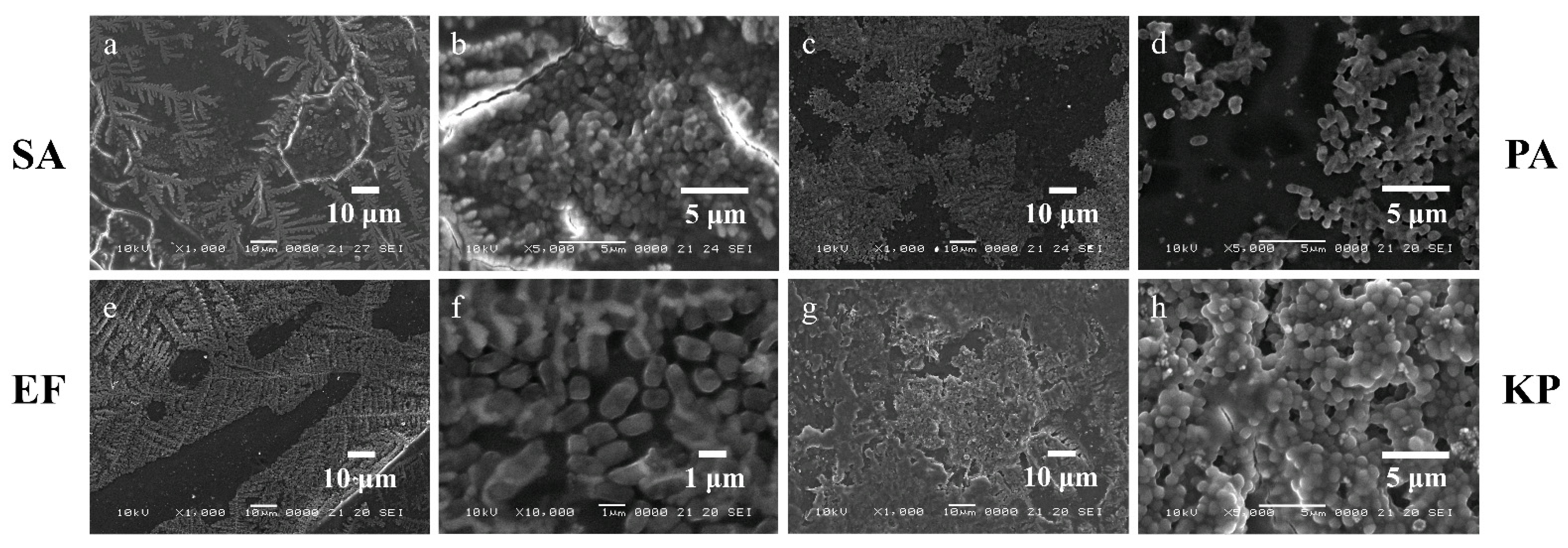 Micromachines 13 01377 g013 Micromachines 13 01377 g013