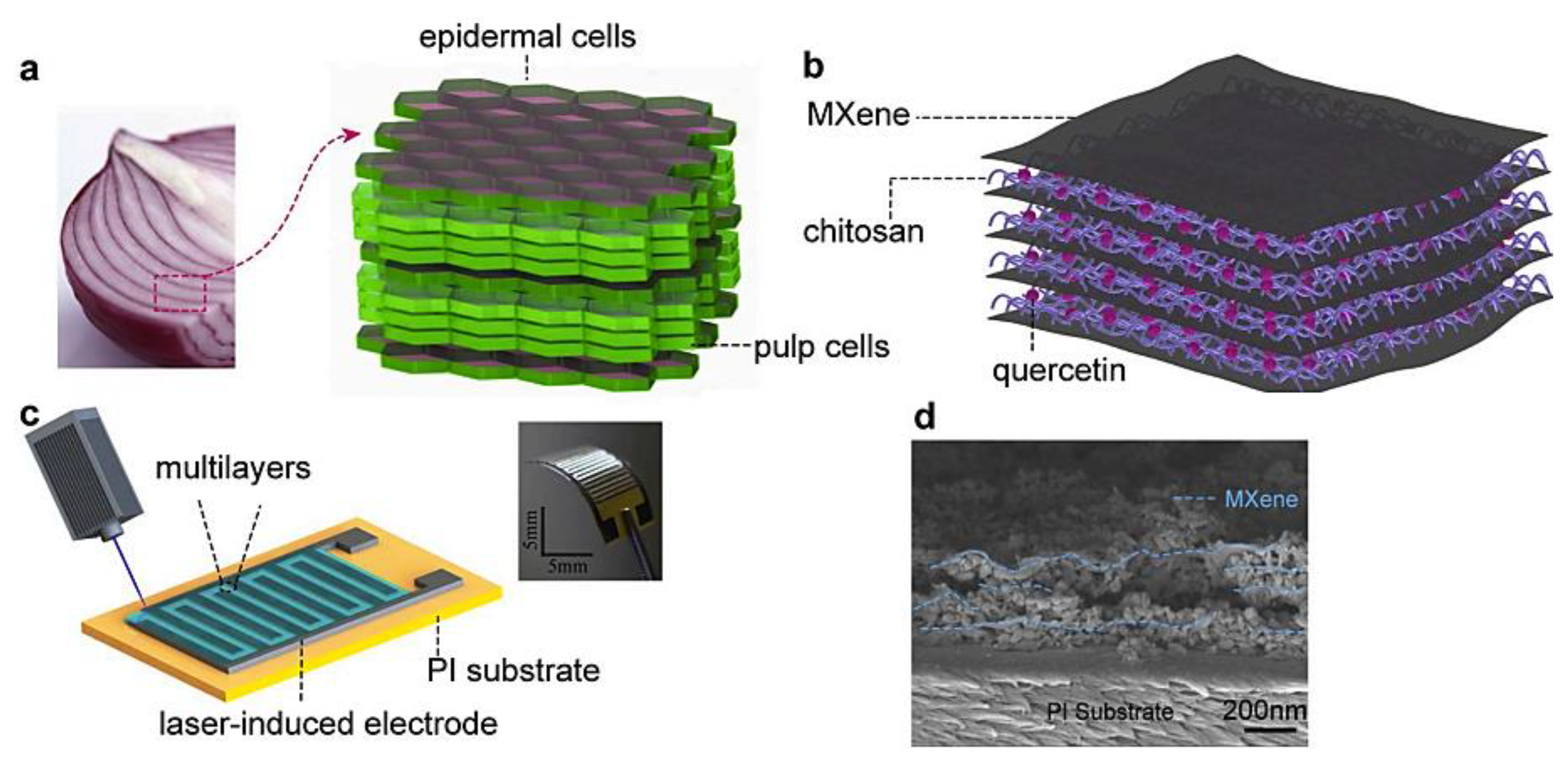 Micromachines 13 01383 g002 550