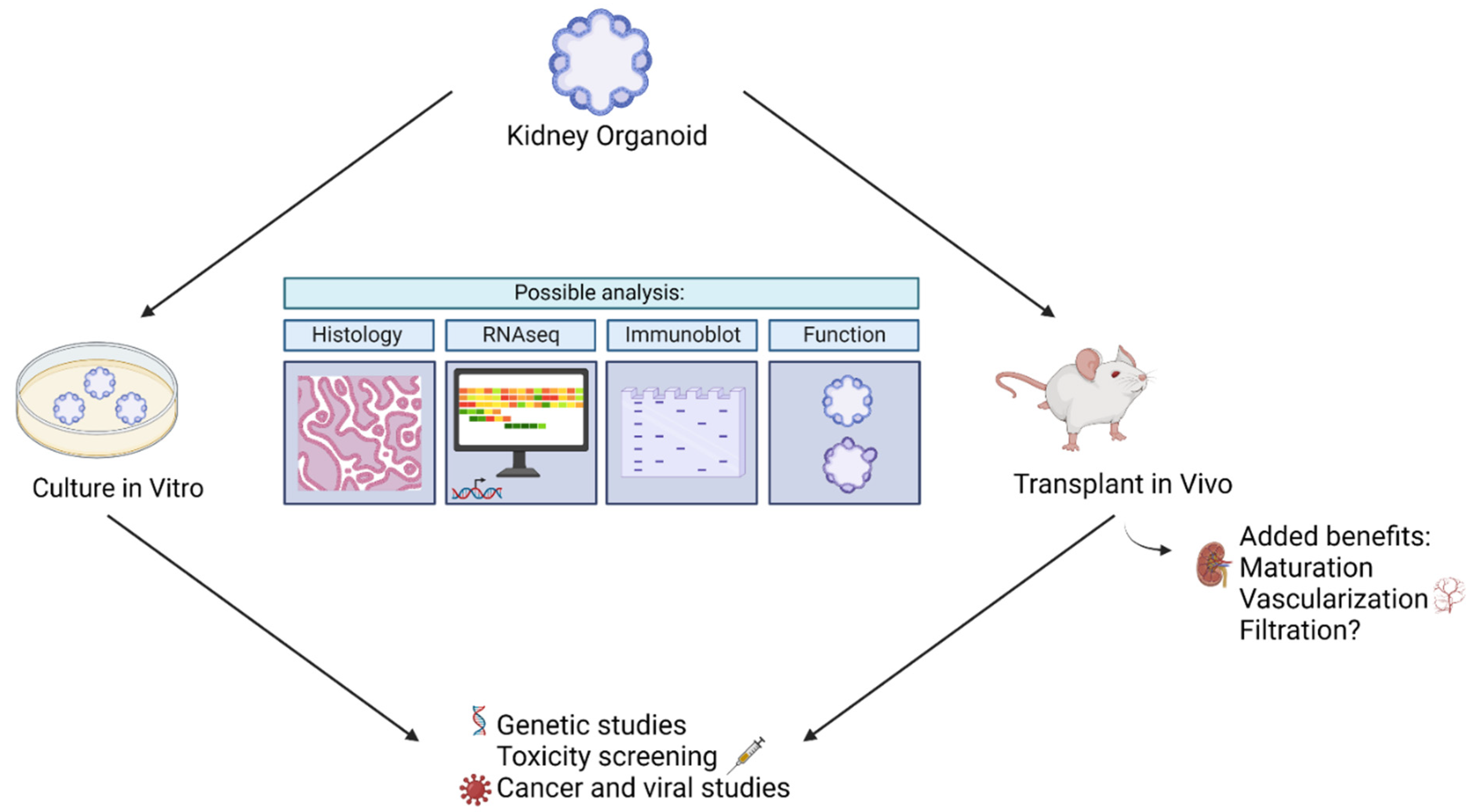 Micromachines 13 01384 g004 550